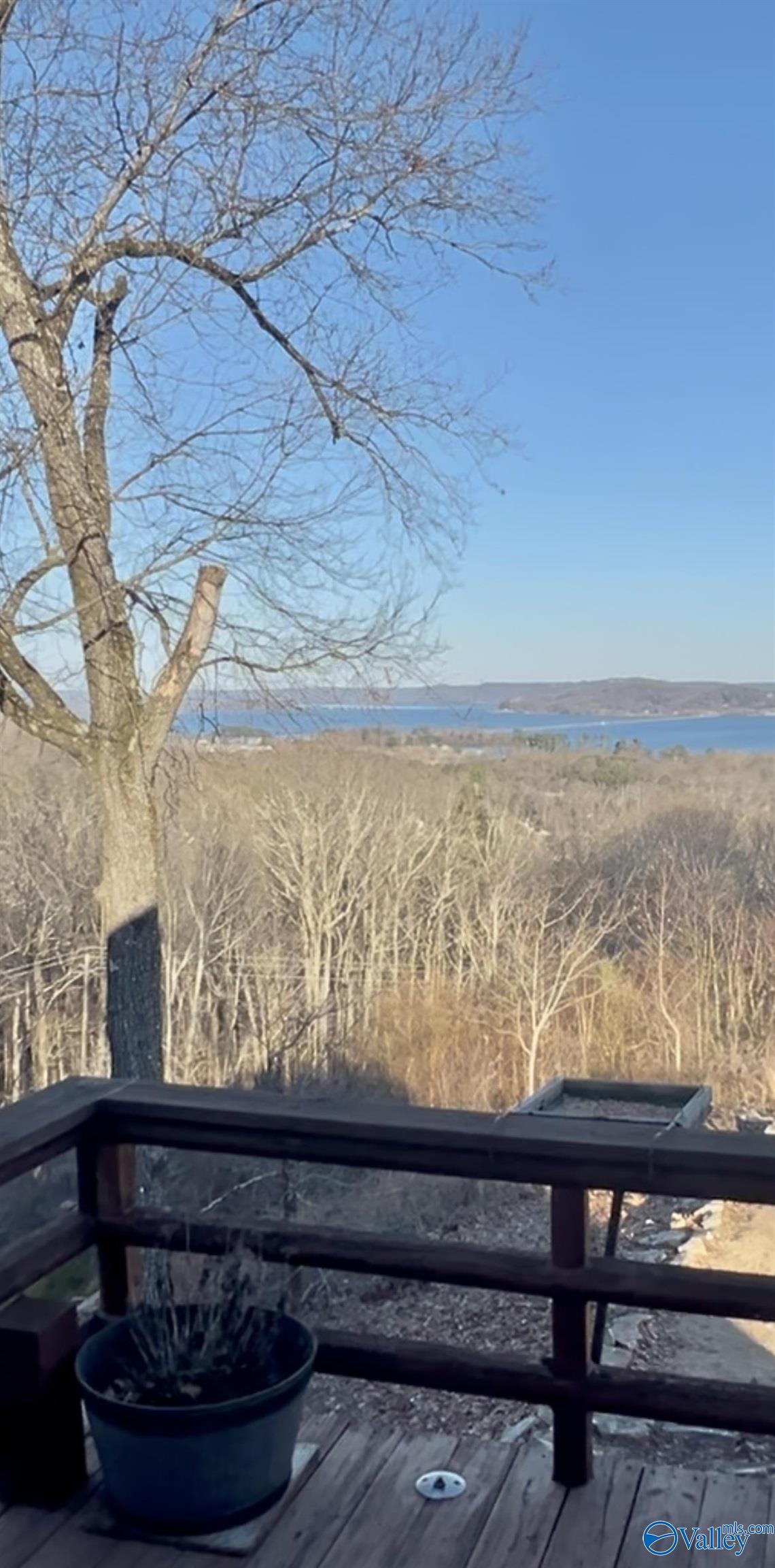 250 Blue Water View, Guntersville, Alabama image 47