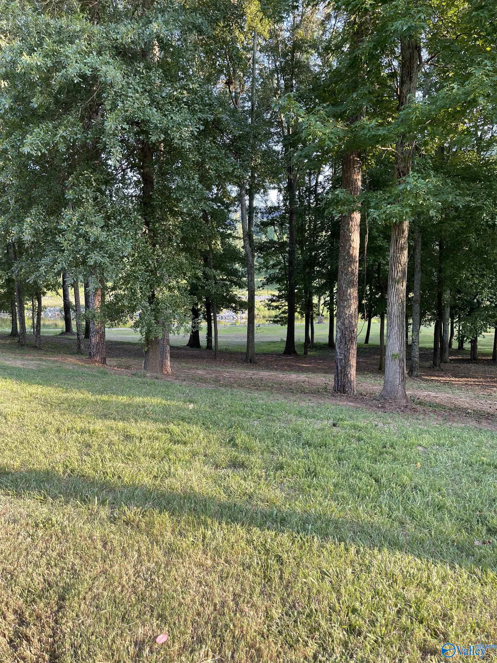 Lot402 Colonial Drive, Guntersville, Alabama image 2