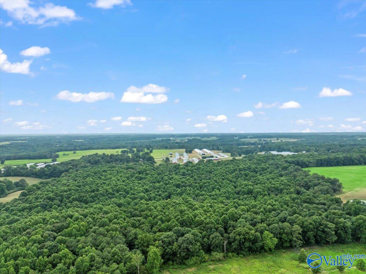 2495 County Road 1564