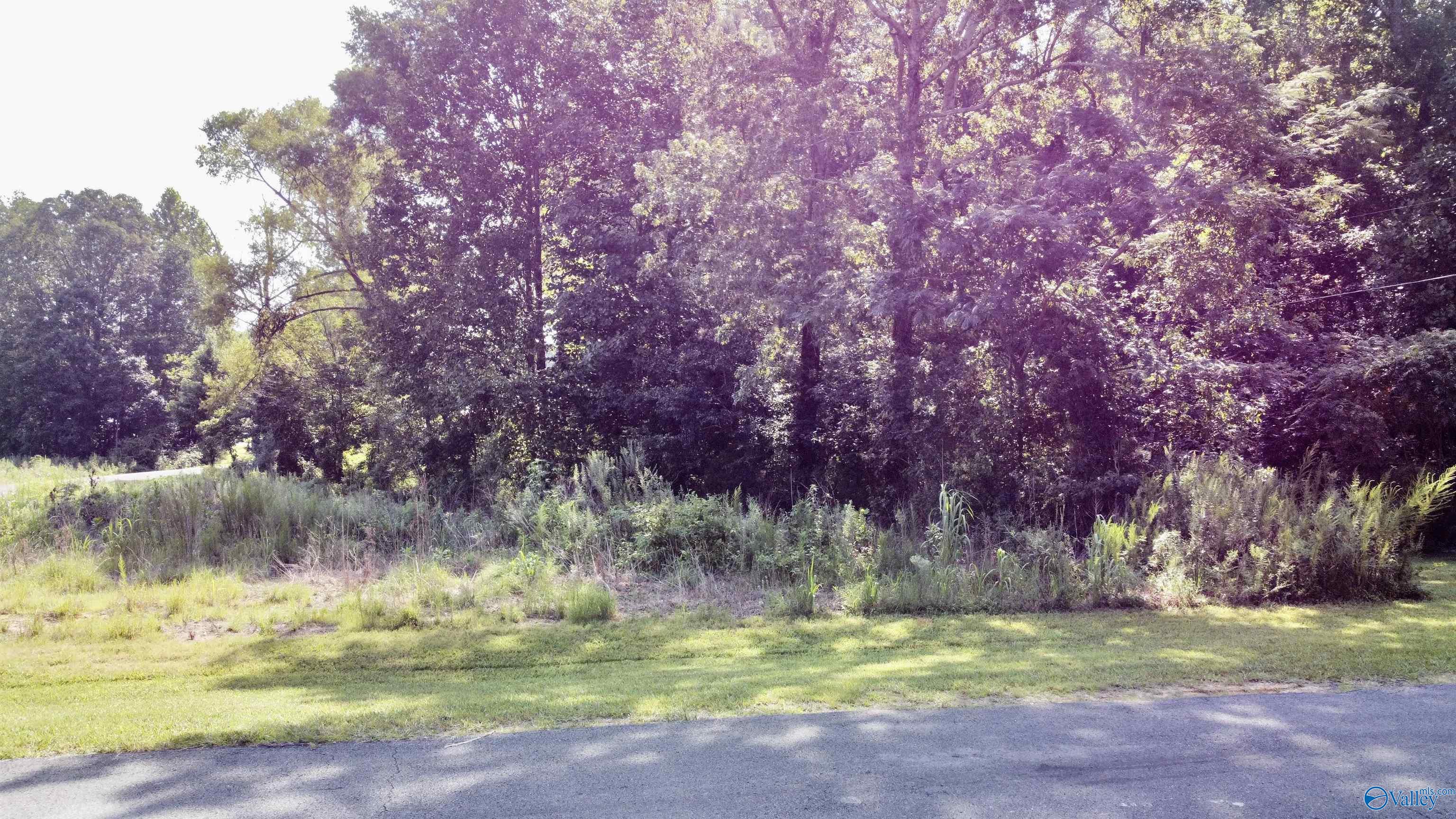 Acreage On Highway 231, Arab, Alabama image 12