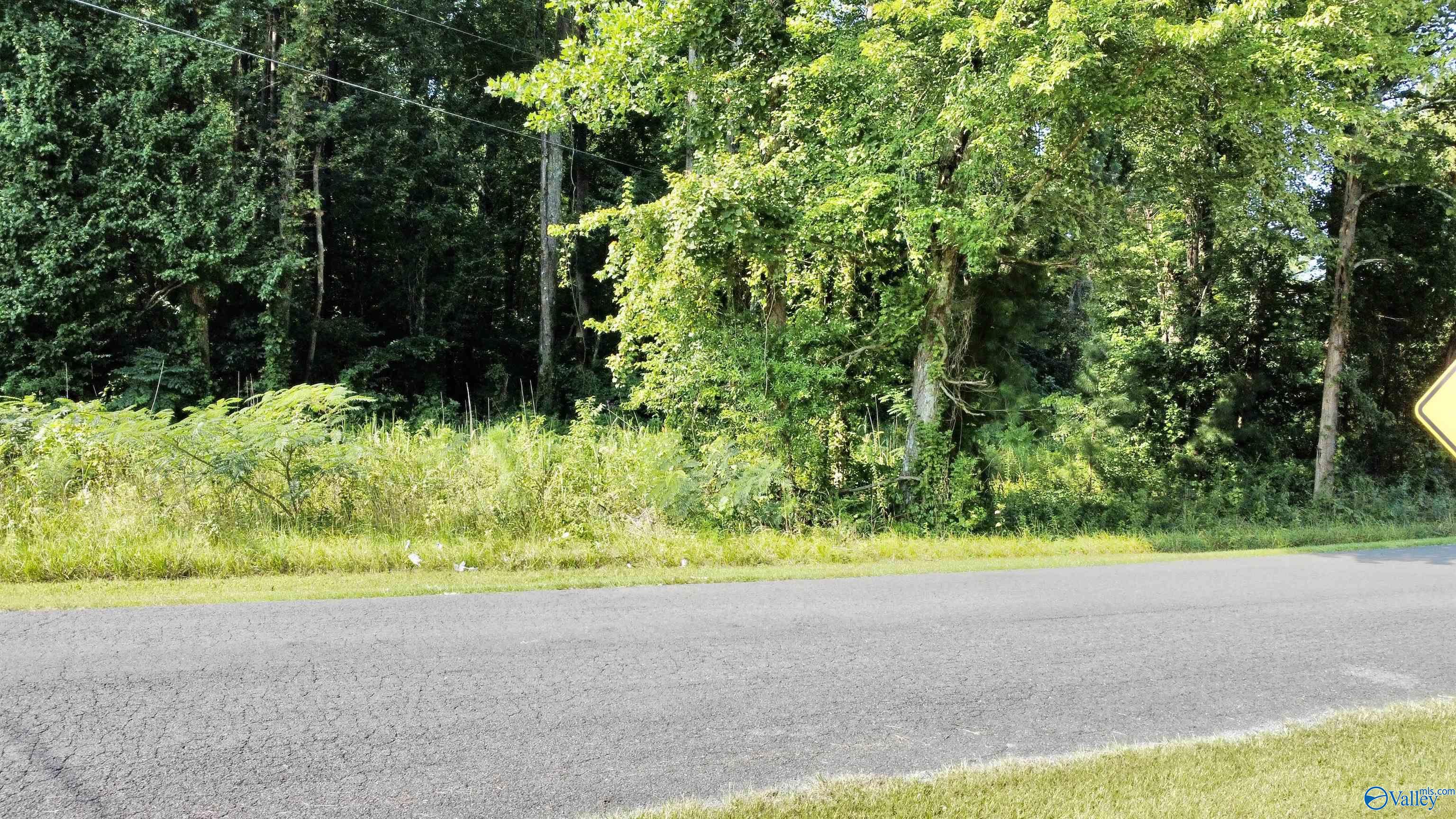 Acreage On Highway 231, Arab, Alabama image 5