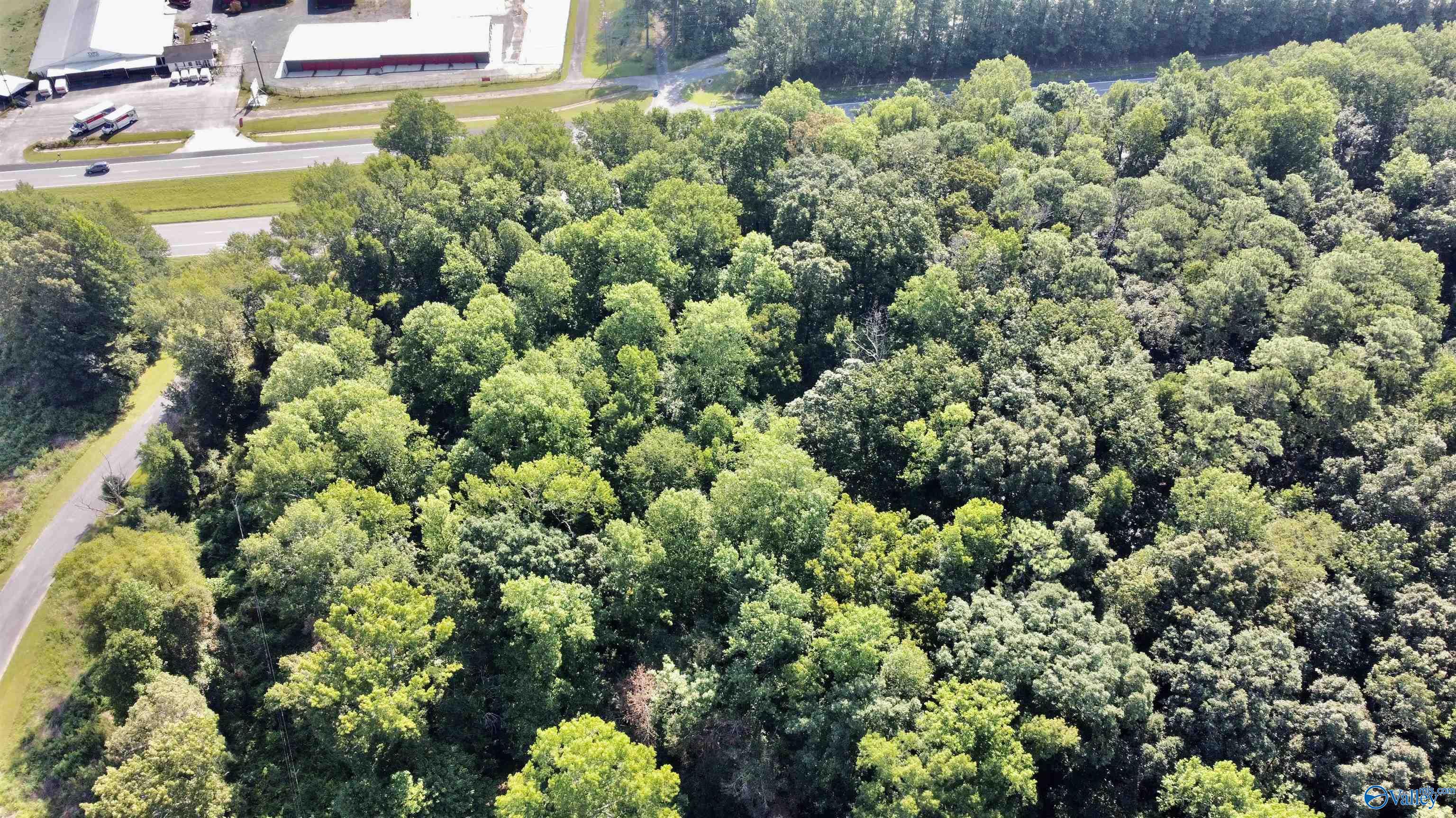 Acreage On Highway 231, Arab, Alabama image 16