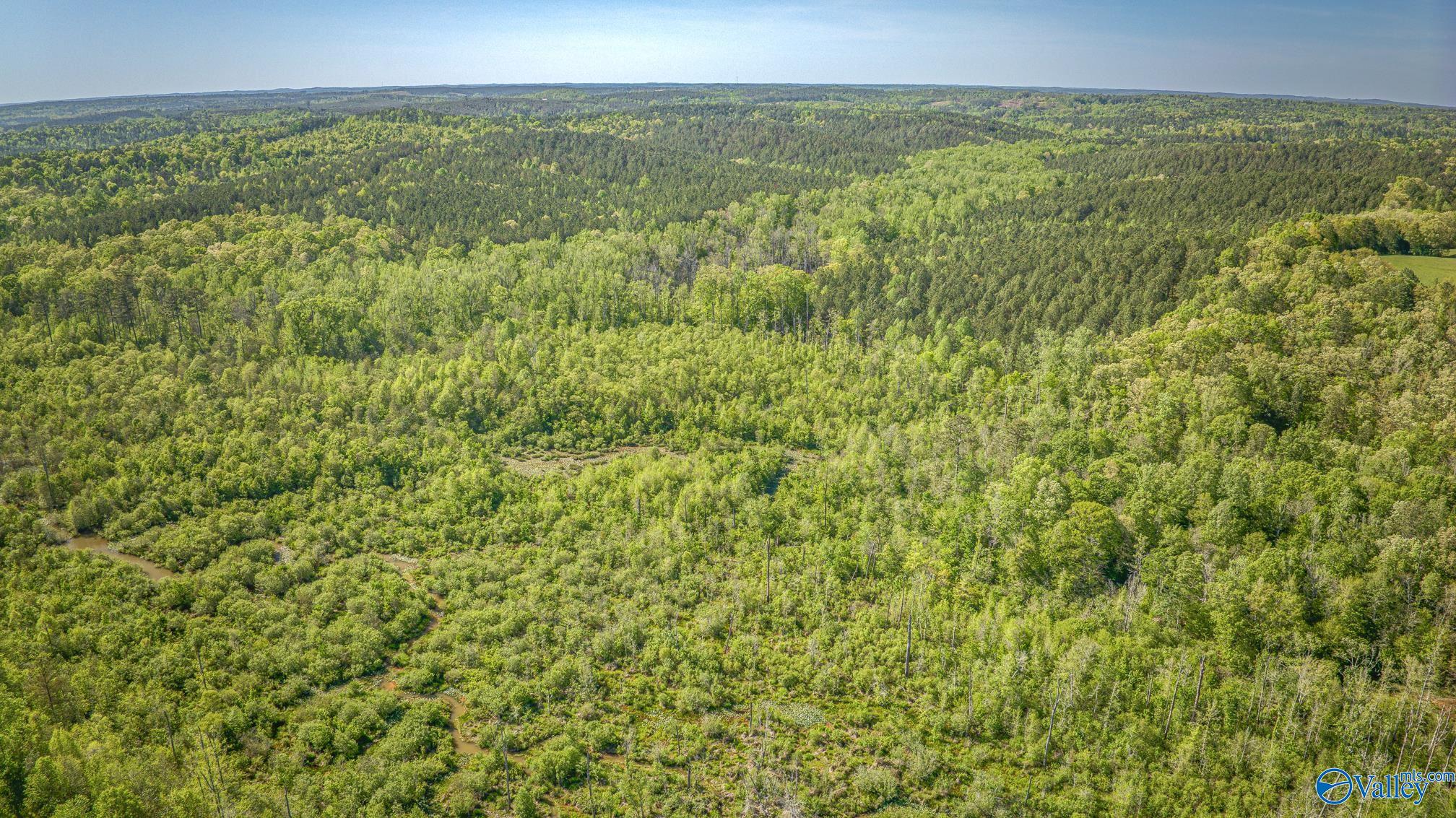 87 Acres Kay Hollis Road, Beaverton, Alabama image 3