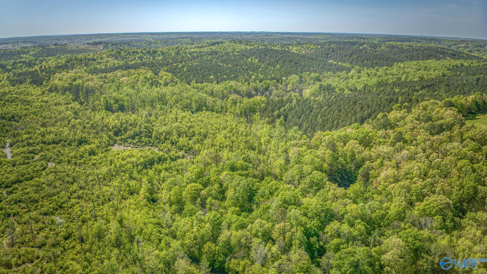 87 Acres Kay Hollis Road, Beaverton, Alabama image 2