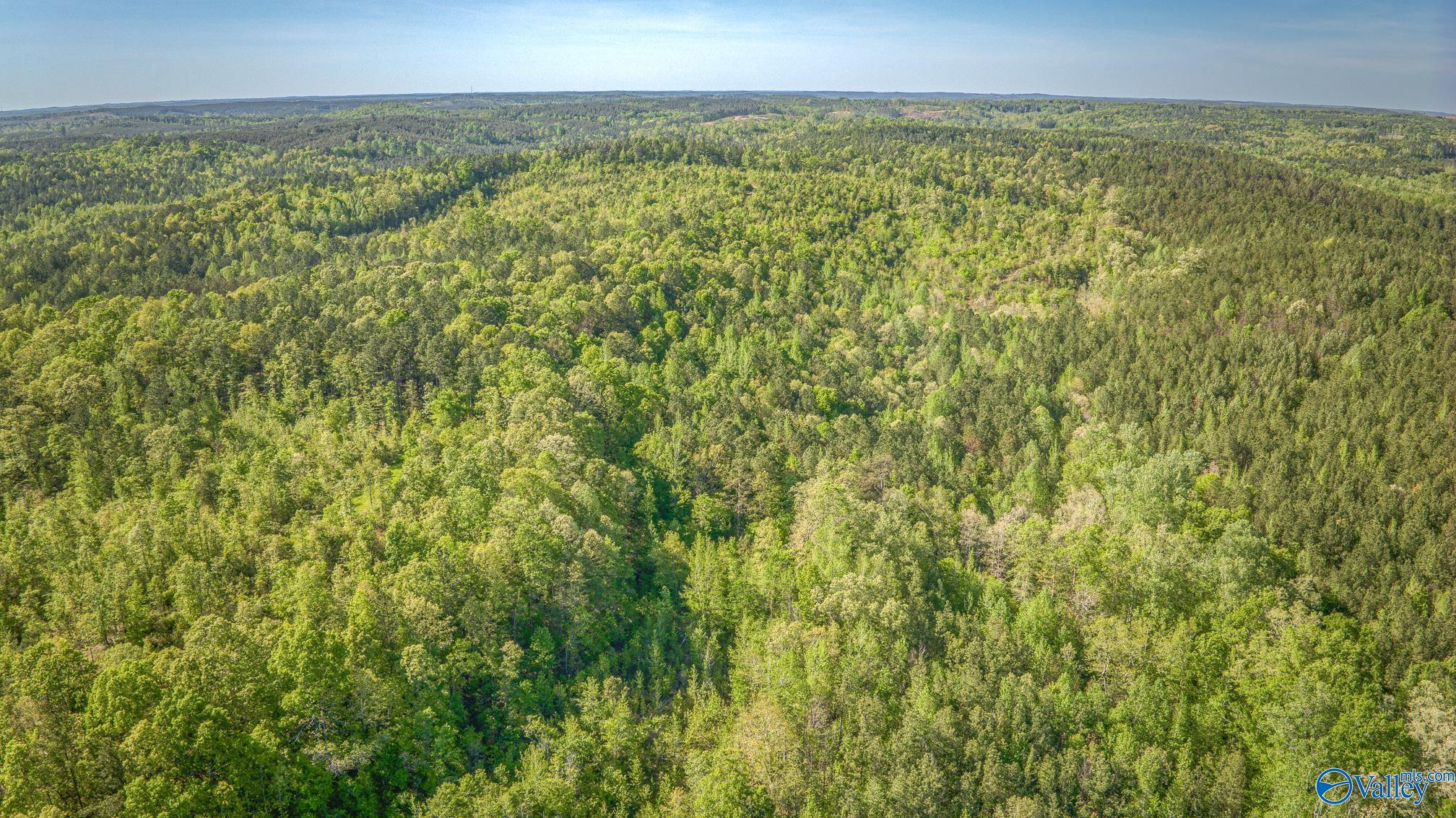 87 Acres Kay Hollis Road, Beaverton, Alabama image 1