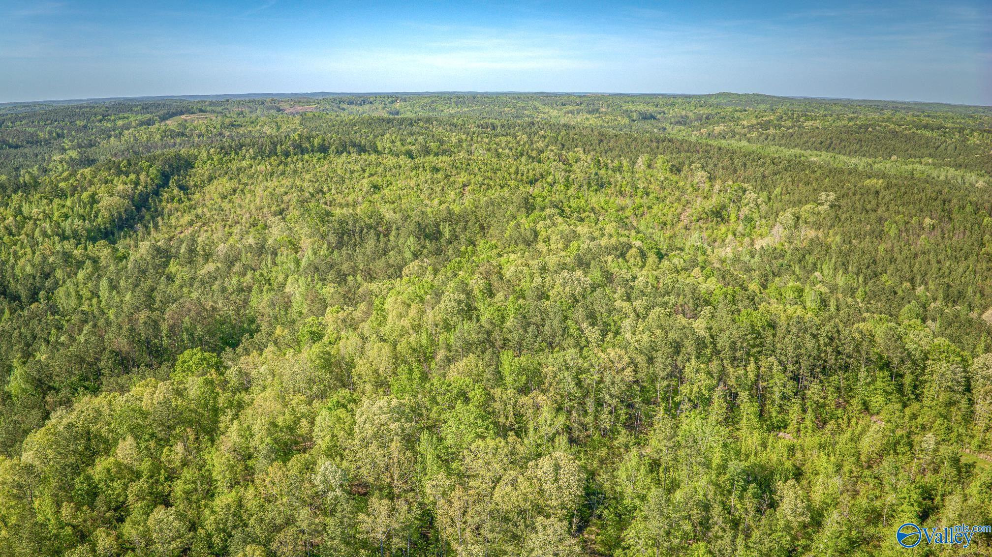 87 Acres Kay Hollis Road, Beaverton, Alabama image 9