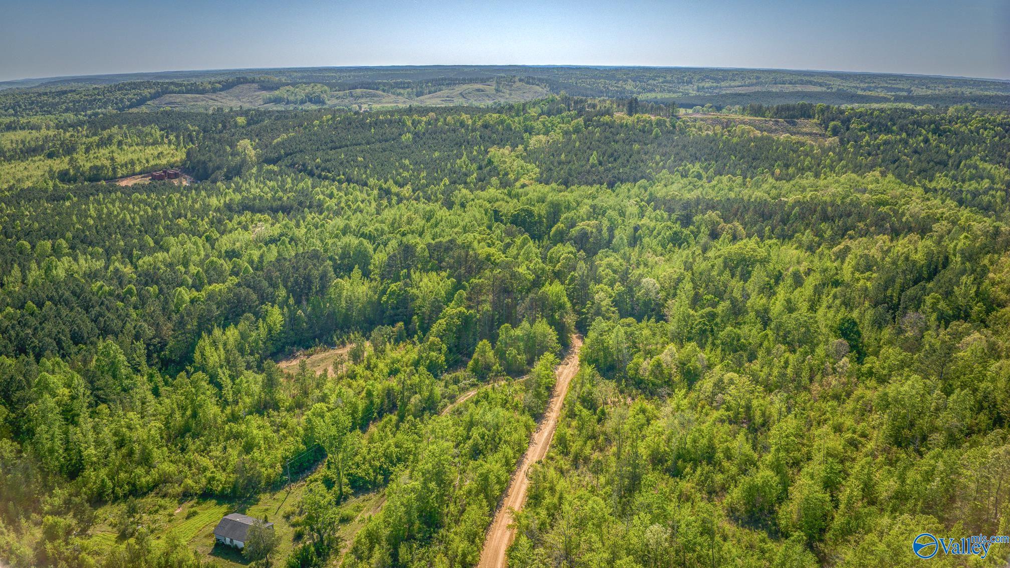 87 Acres Kay Hollis Road, Beaverton, Alabama image 14