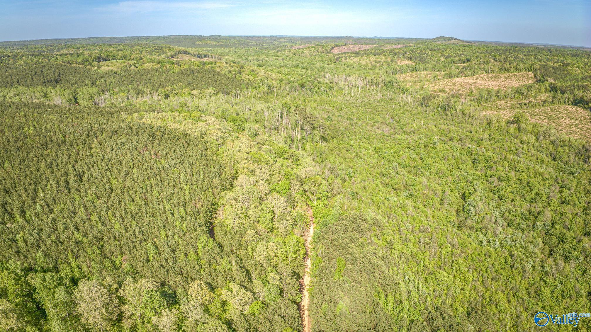 87 Acres Kay Hollis Road, Beaverton, Alabama image 11