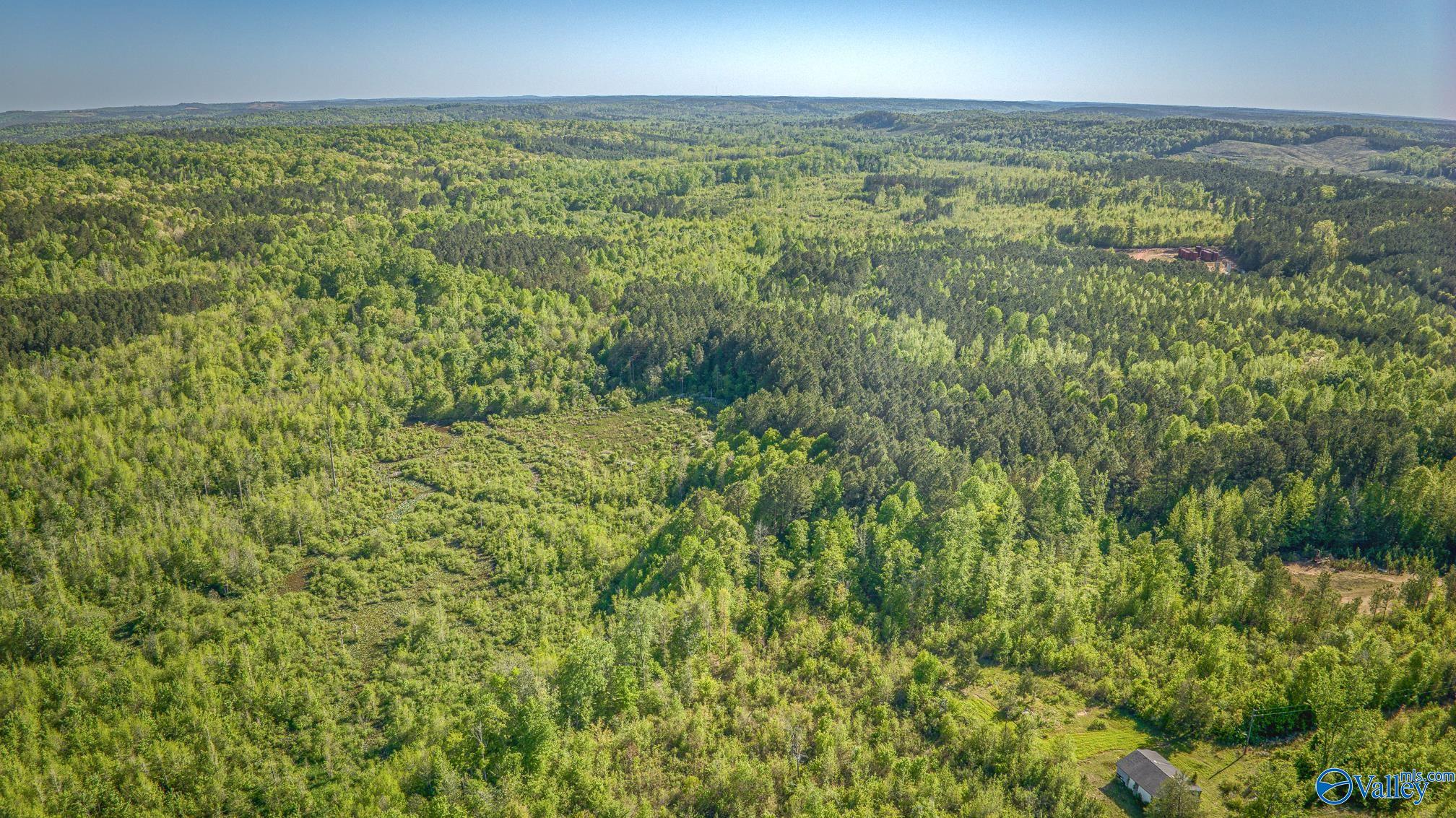 87 Acres Kay Hollis Road, Beaverton, Alabama image 13