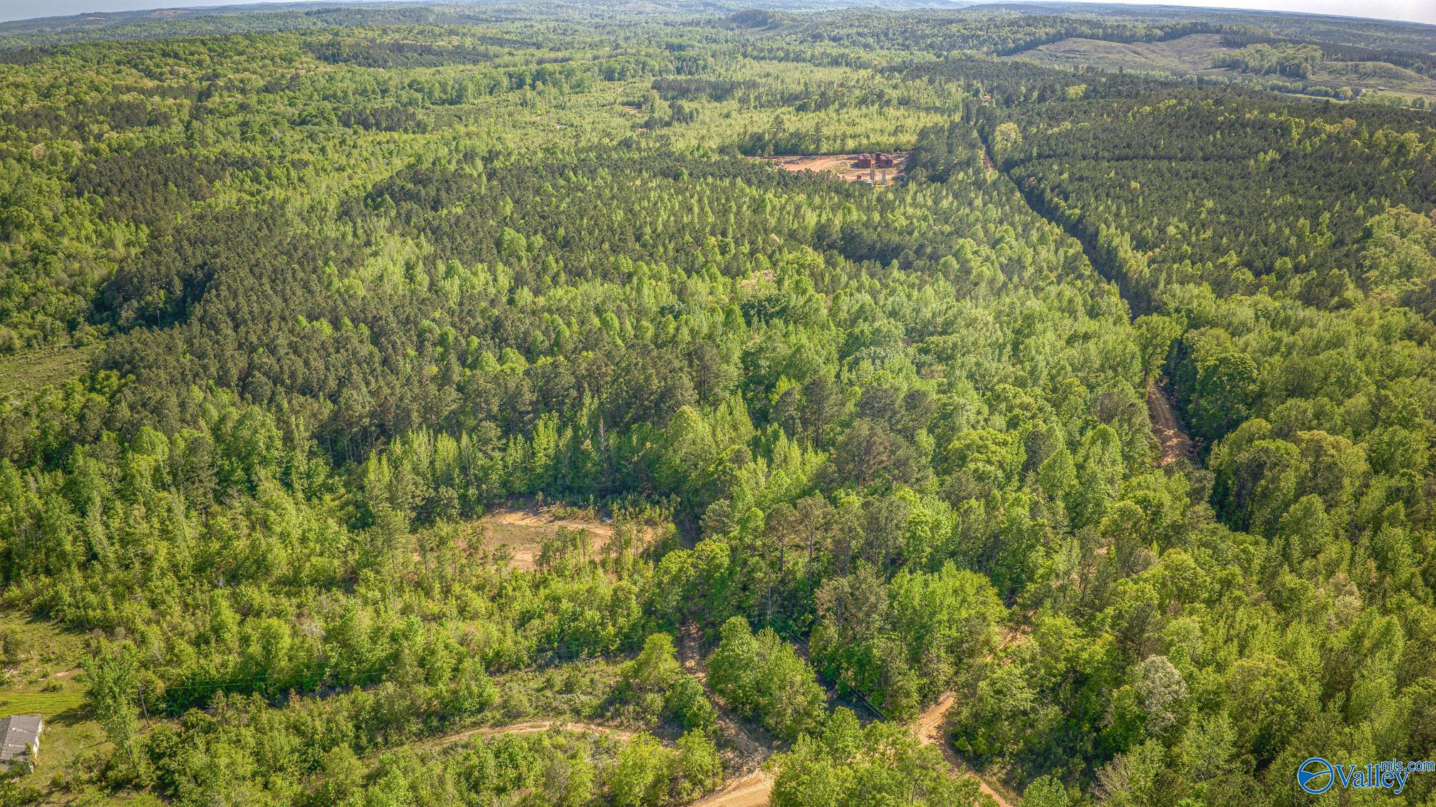 87 Acres Kay Hollis Road, Beaverton, Alabama image 7