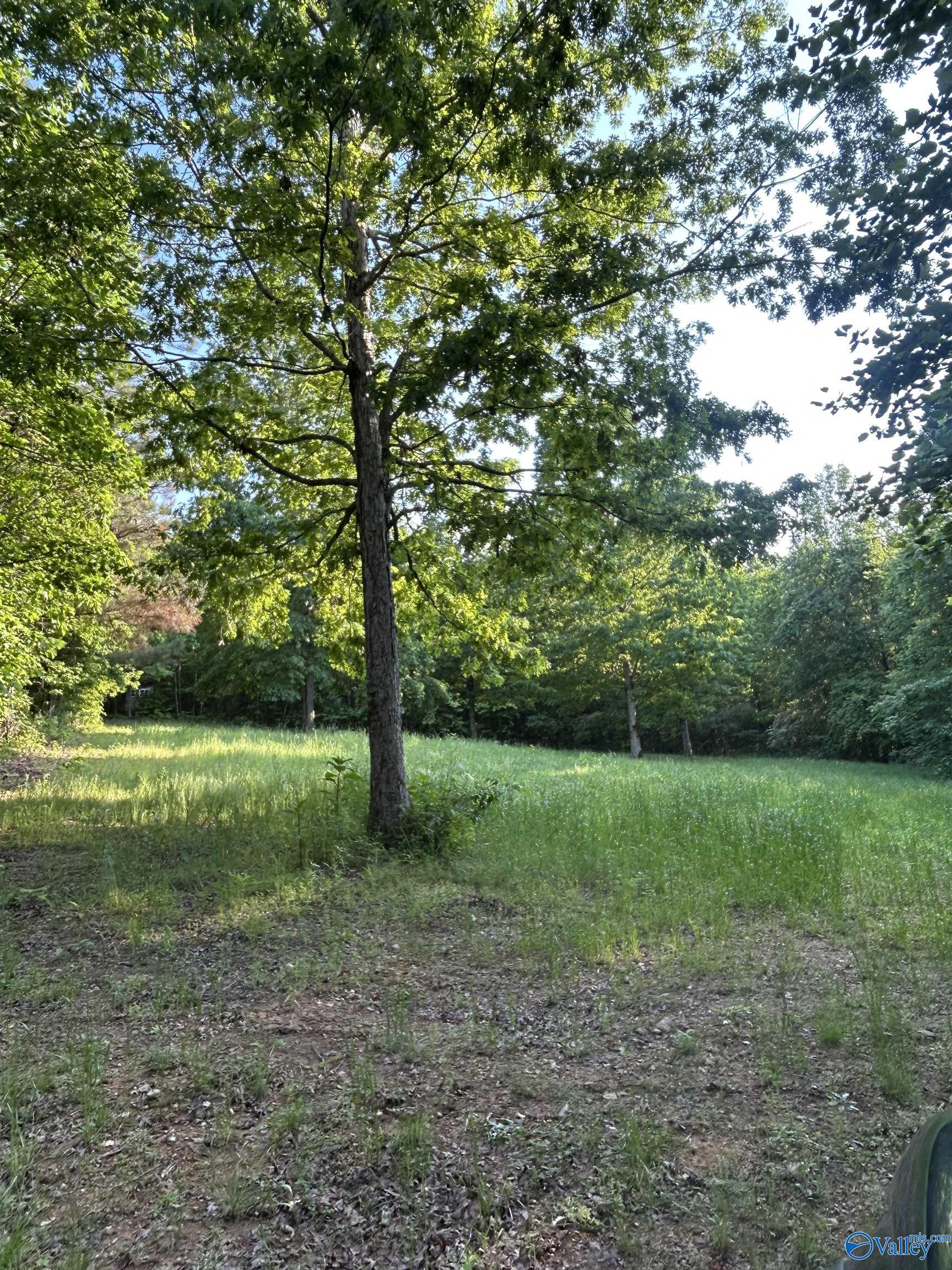 Unit #0 Murphree Valley Road, Altoona, Alabama image 13