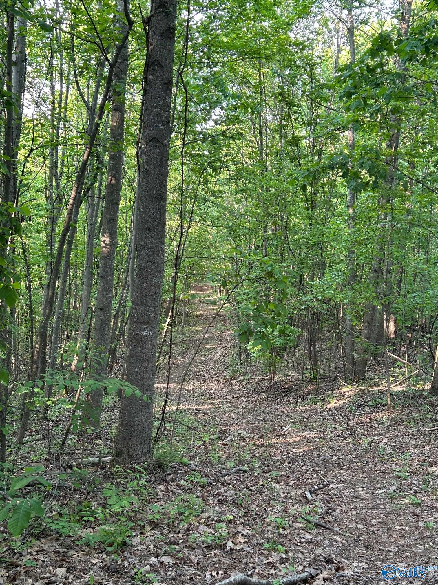 Unit #0 Murphree Valley Road, Altoona, Alabama image 3