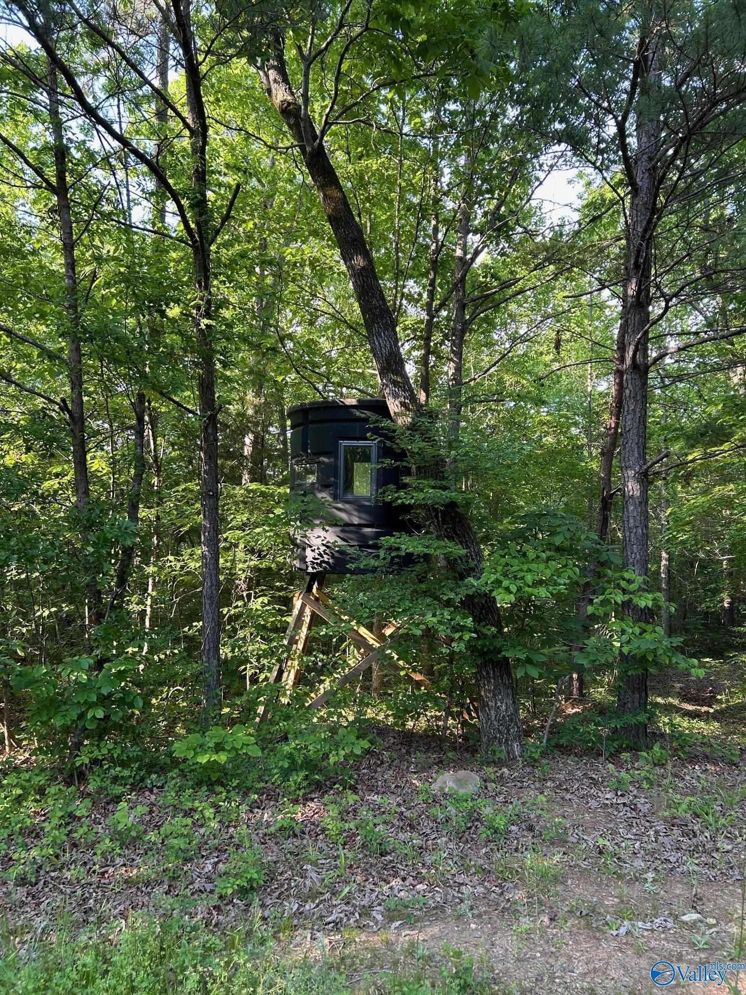 Unit #0 Murphree Valley Road, Altoona, Alabama image 6
