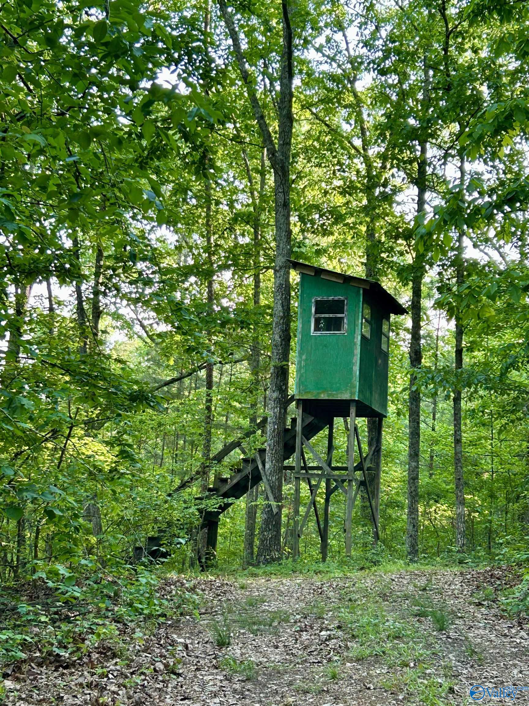 Unit #0 Murphree Valley Road, Altoona, Alabama image 17