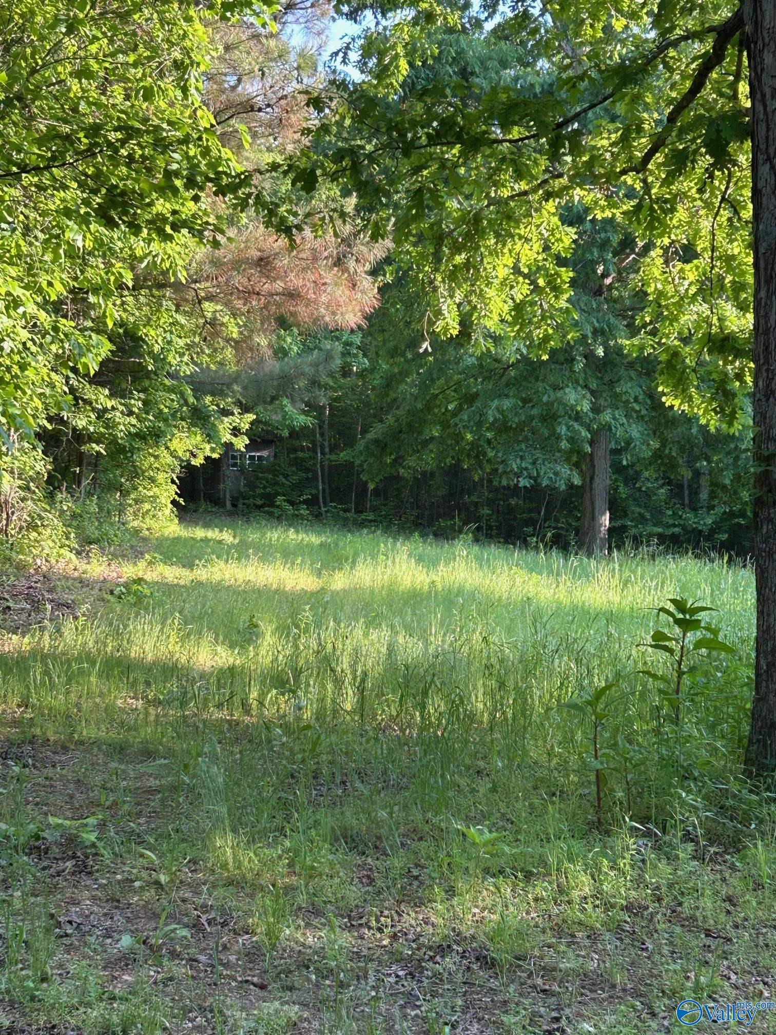Unit #0 Murphree Valley Road, Altoona, Alabama image 4