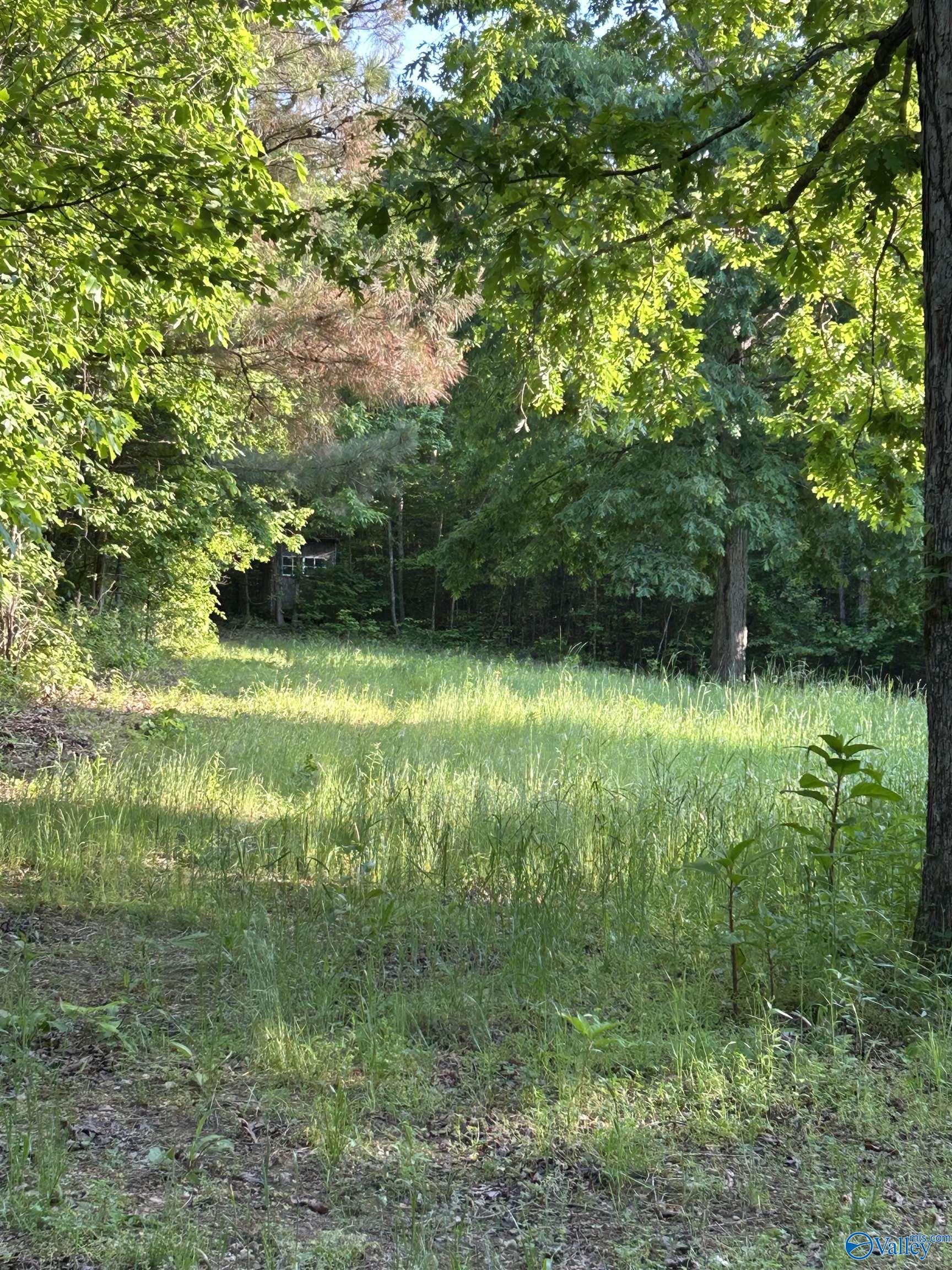 Unit #0 Murphree Valley Road, Altoona, Alabama image 14