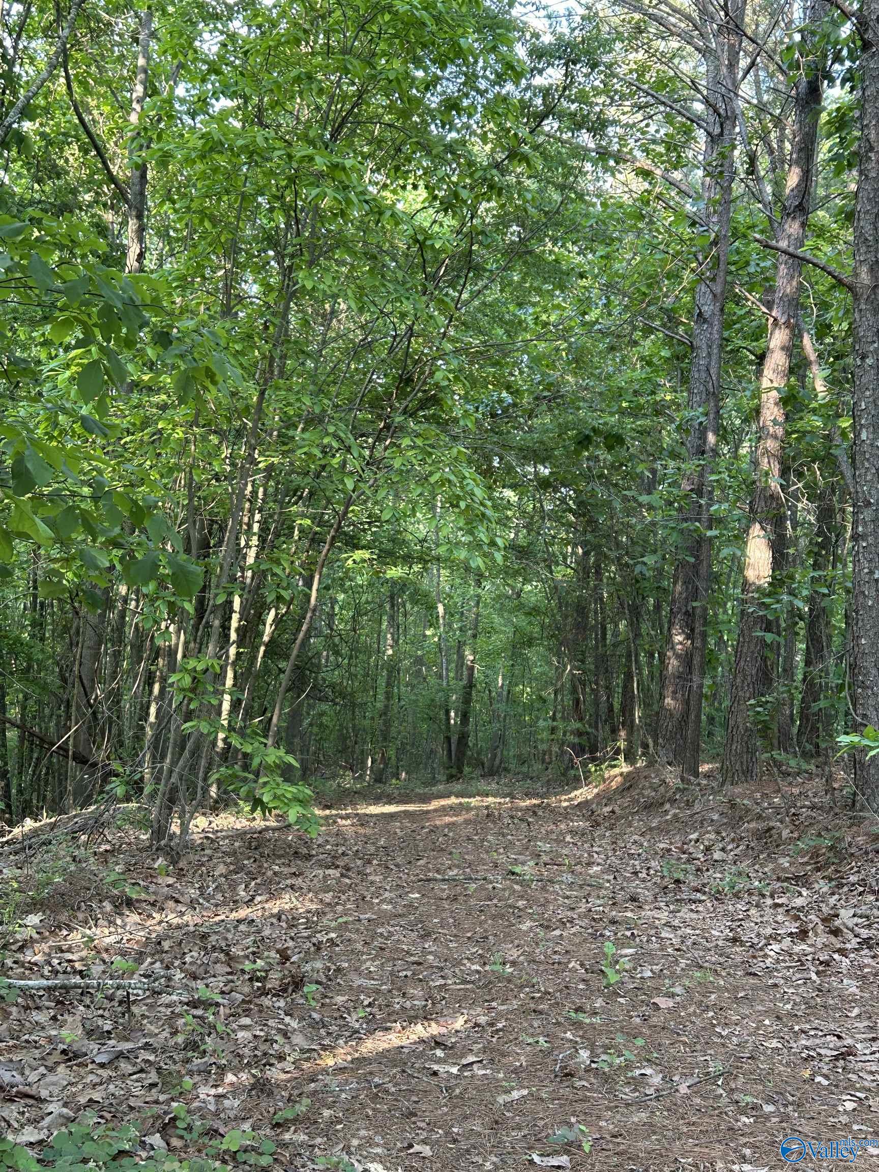Unit #0 Murphree Valley Road, Altoona, Alabama image 12