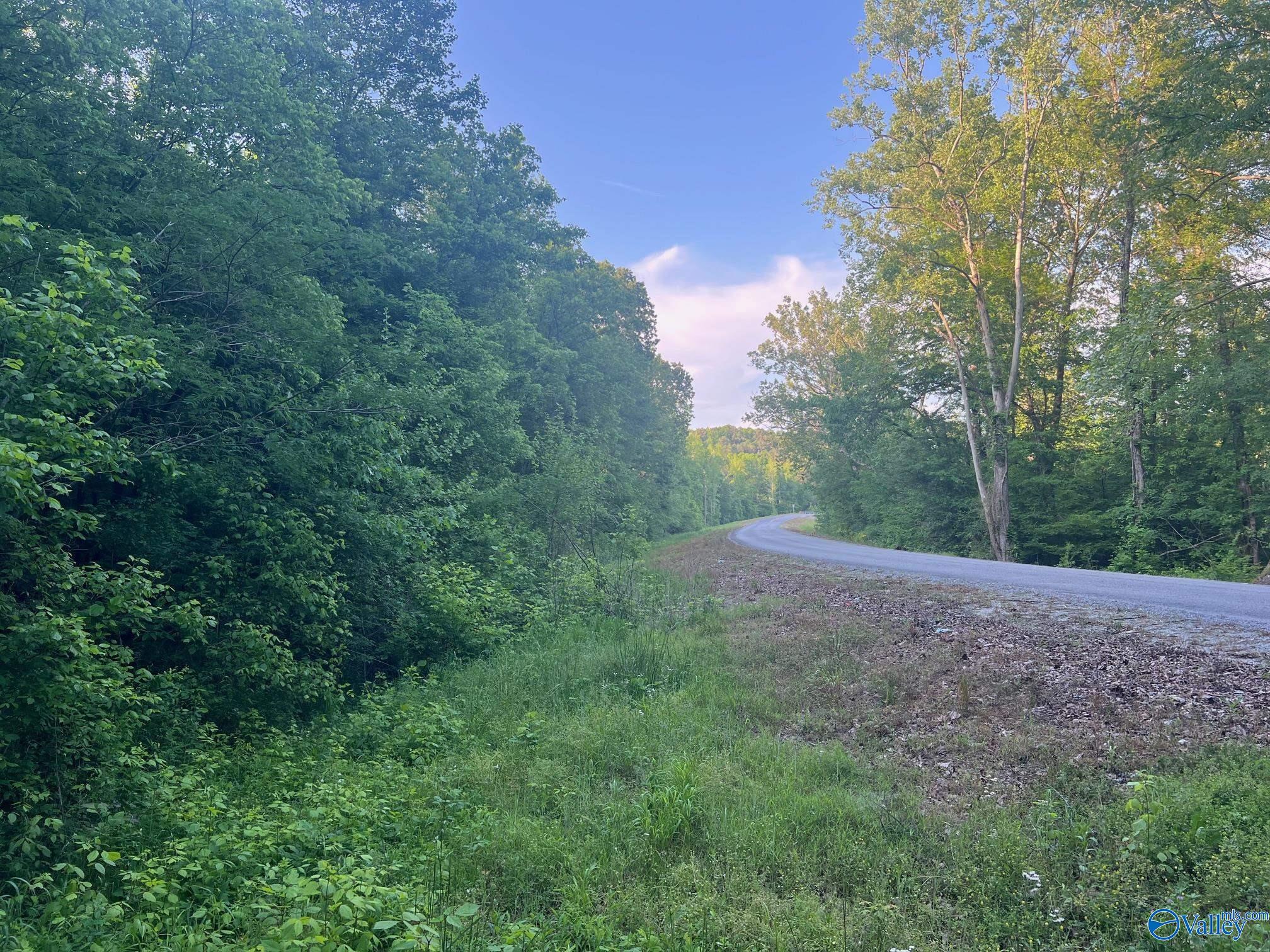 Unit #0 Murphree Valley Road, Altoona, Alabama image 10