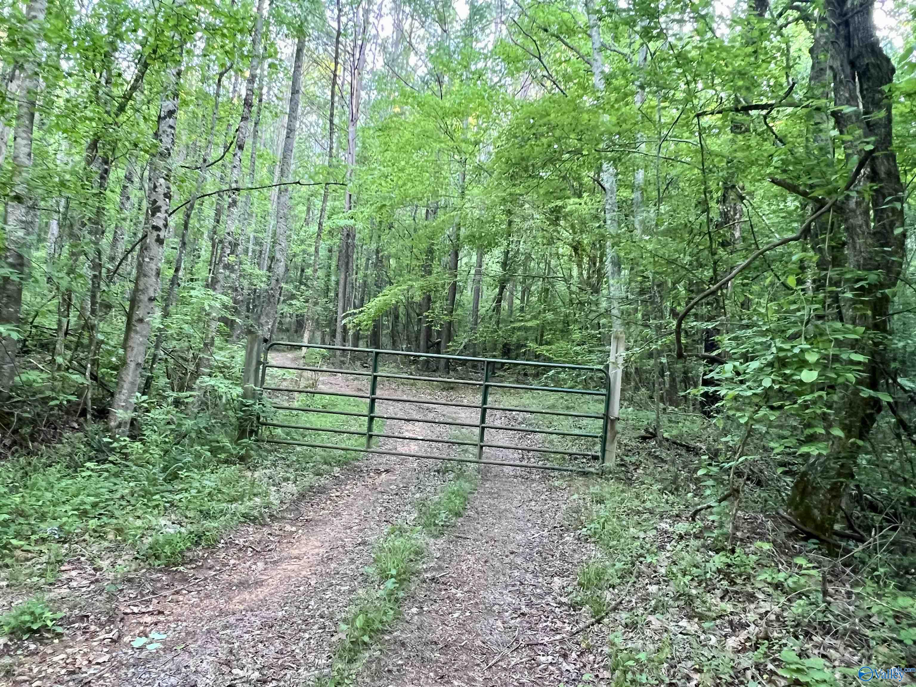 Unit #0 Murphree Valley Road, Altoona, Alabama image 16
