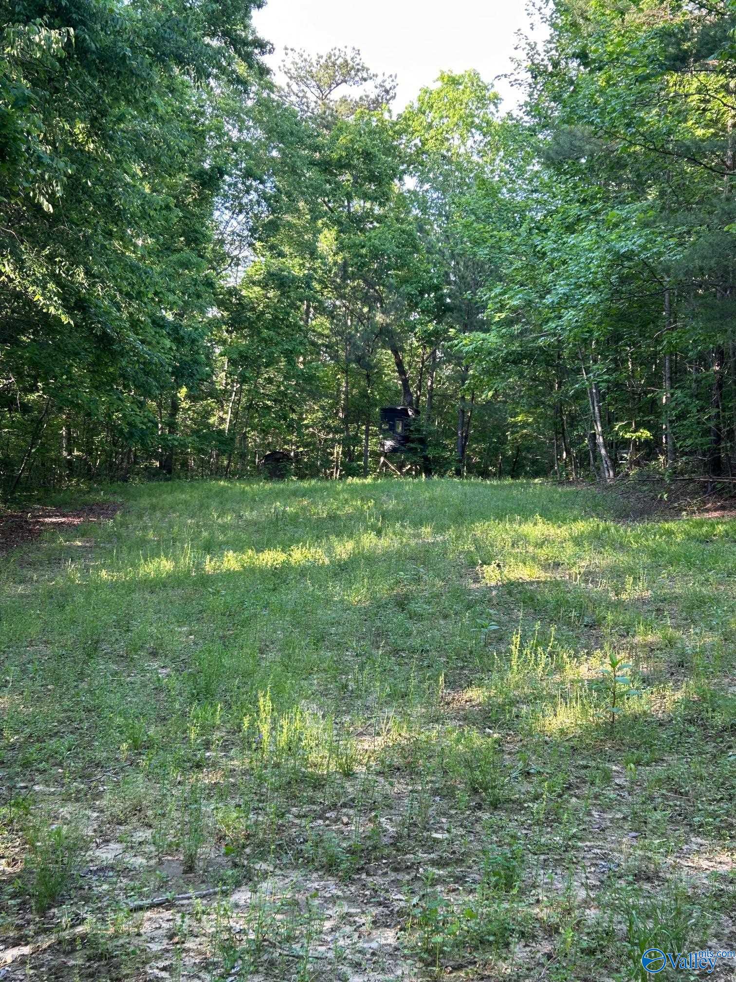 Unit #0 Murphree Valley Road, Altoona, Alabama image 5