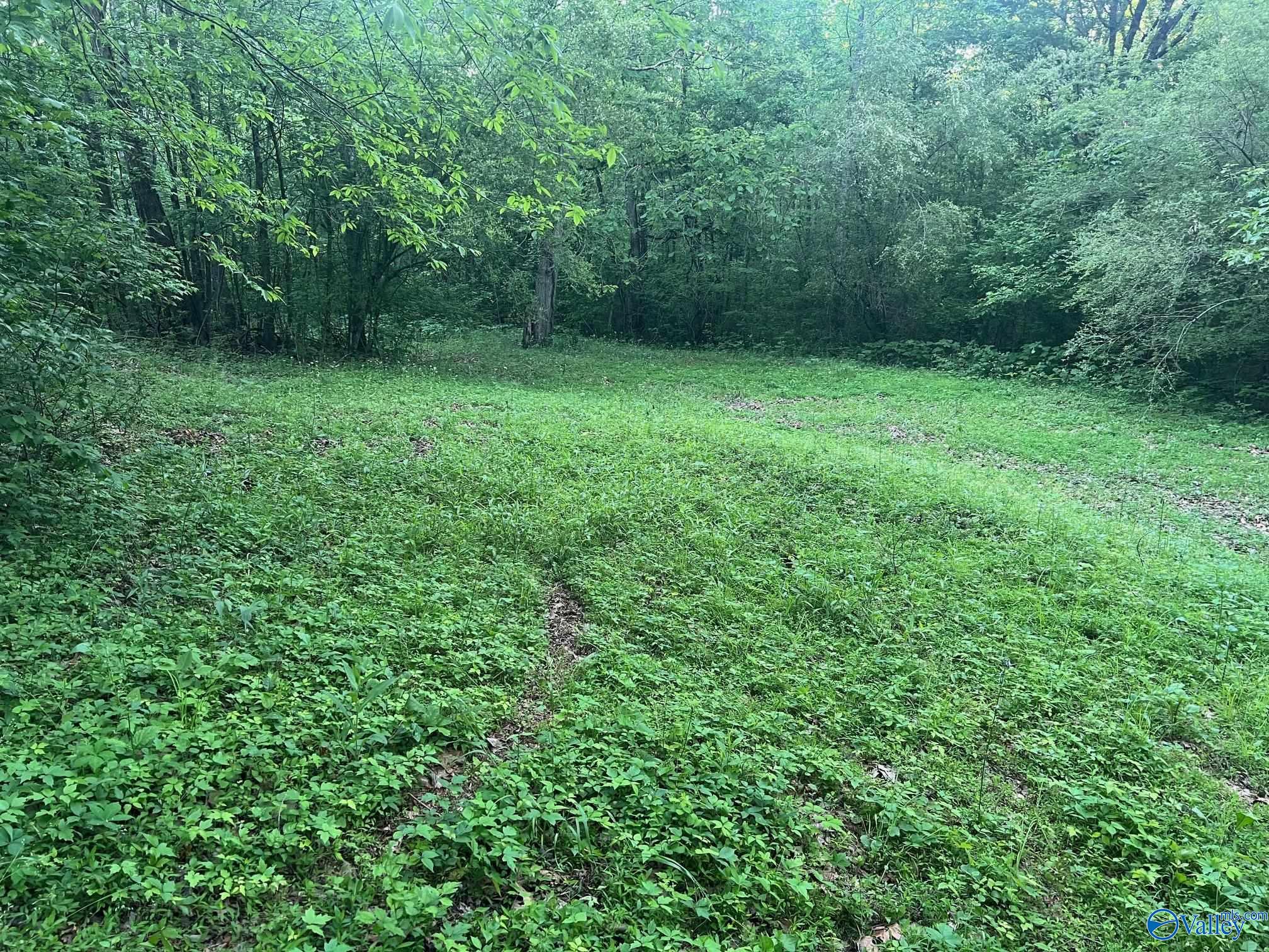 Unit #0 Murphree Valley Road, Altoona, Alabama image 11