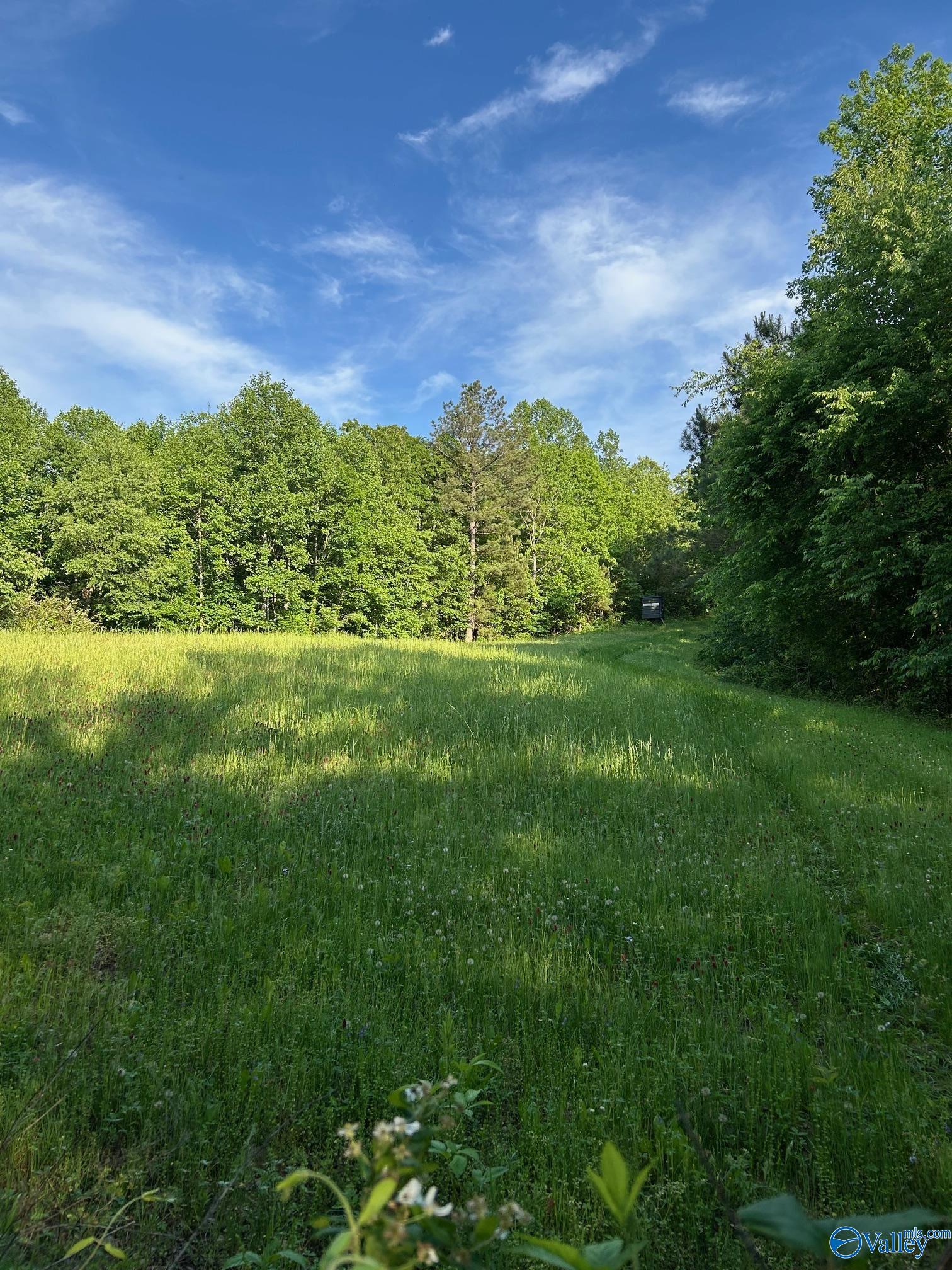 Unit #0 Murphree Valley Road, Altoona, Alabama image 2