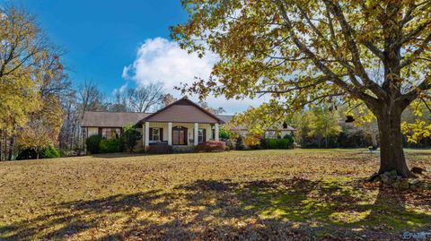 Photo of 34953 Alabama Highway 75, Fyffe, AL 35971 (MLS # 21911030)