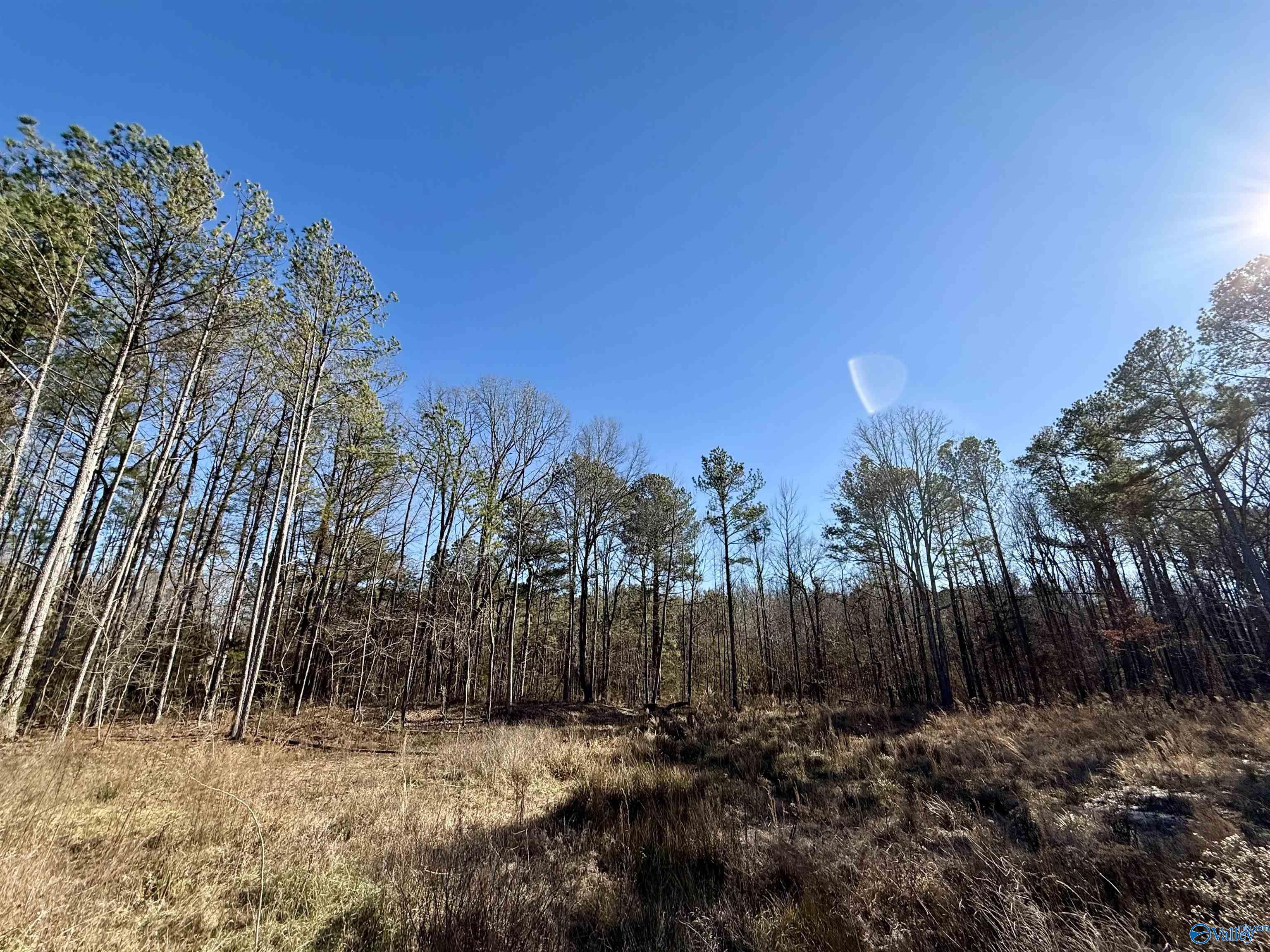 Lot 27 Chambers Road, Arab, Alabama image 3