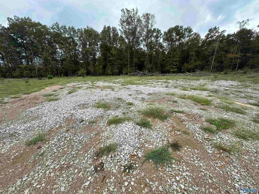 10051 HIGHWAY 431 S, NEW HOPE, AL 35760 - Image aa8d67d523c46b765ef6cbb50a51dfe8/3930832270