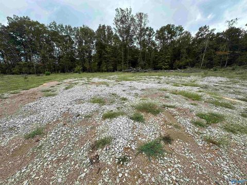 Vacant Land For Sale - 10051 Highway 431<br/> New Hope, AL 35760