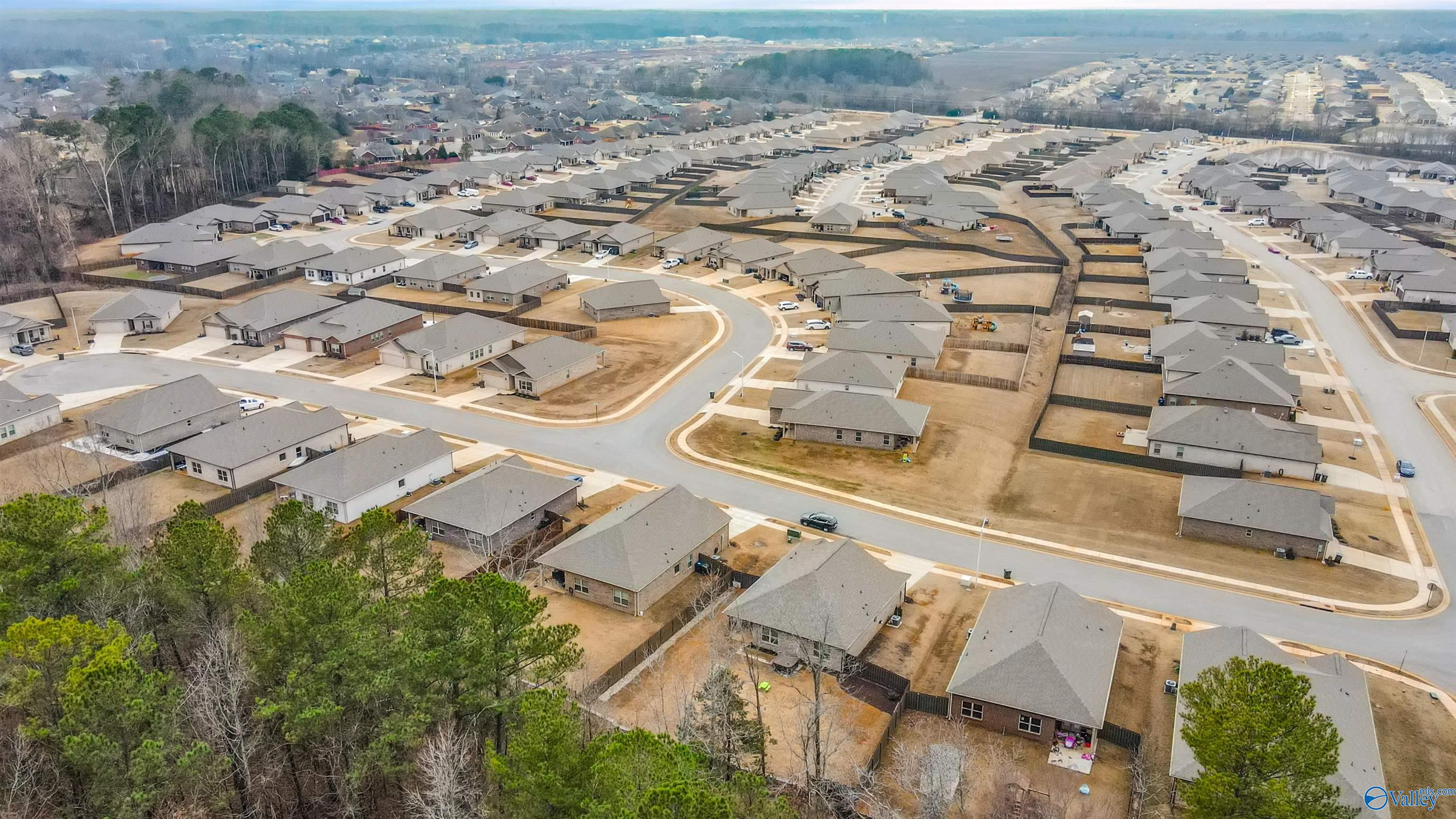 117 High Leaf Drive, Harvest, Alabama image 33