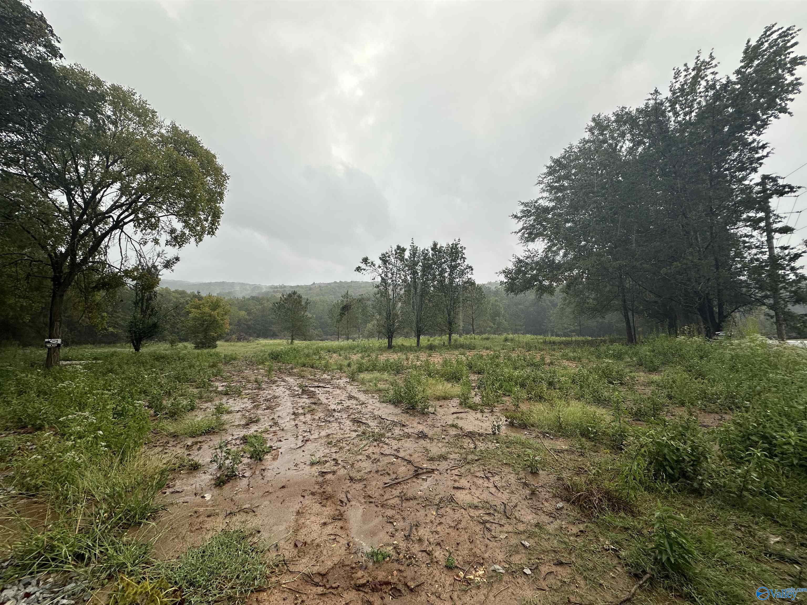 381 Caldwell Lane