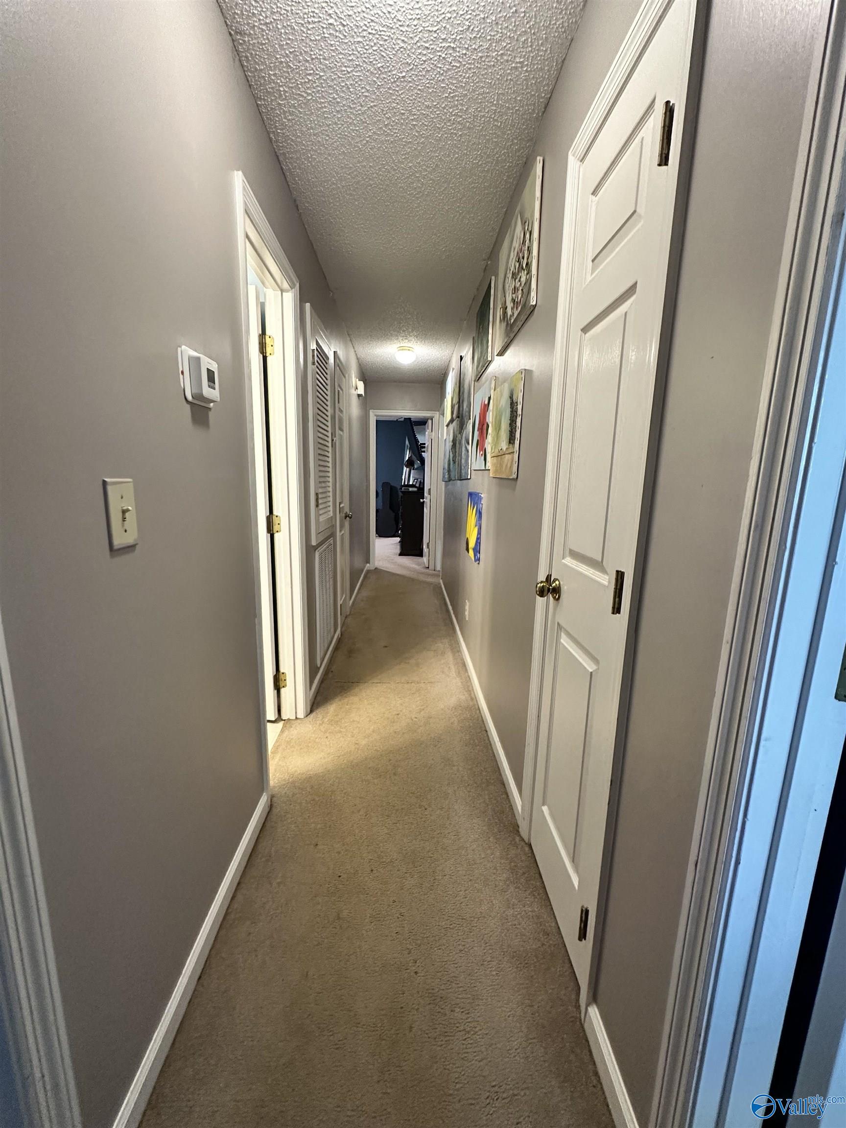 1810 Chickasaw Dr, Albertville, Alabama image 10