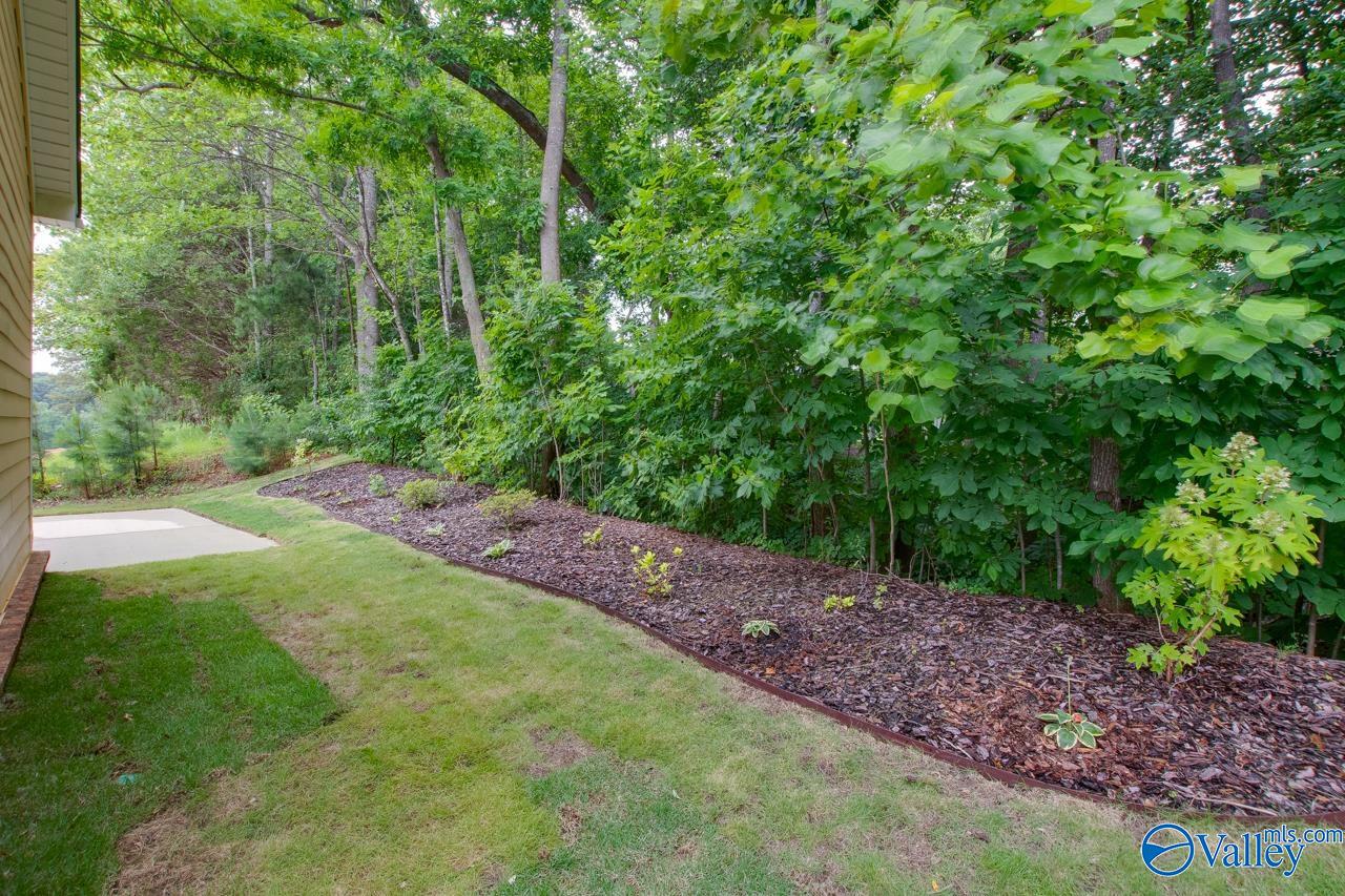 1224 Smooth Stone Trail, Huntsville, Alabama image 27
