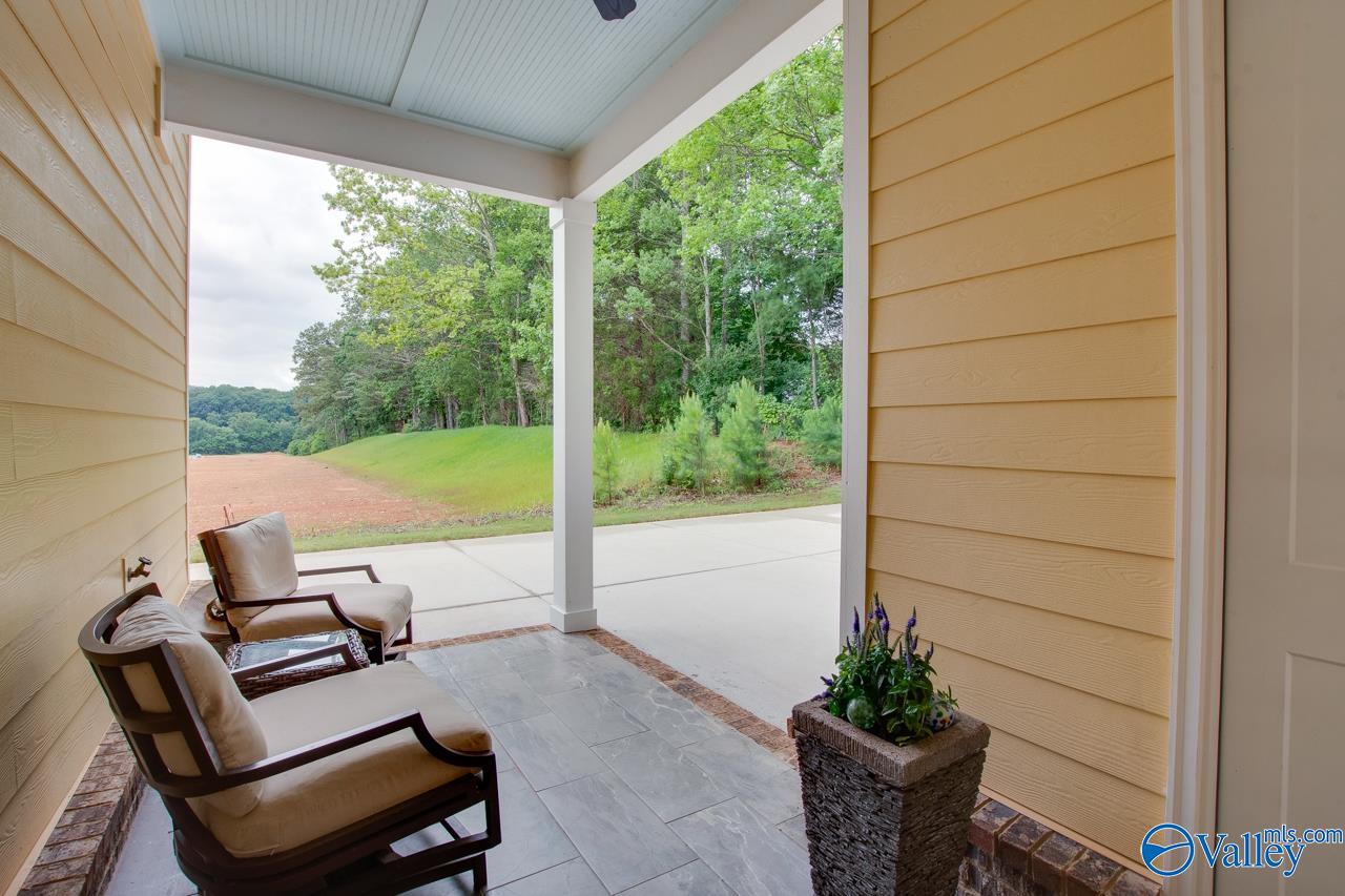 1224 Smooth Stone Trail, Huntsville, Alabama image 24