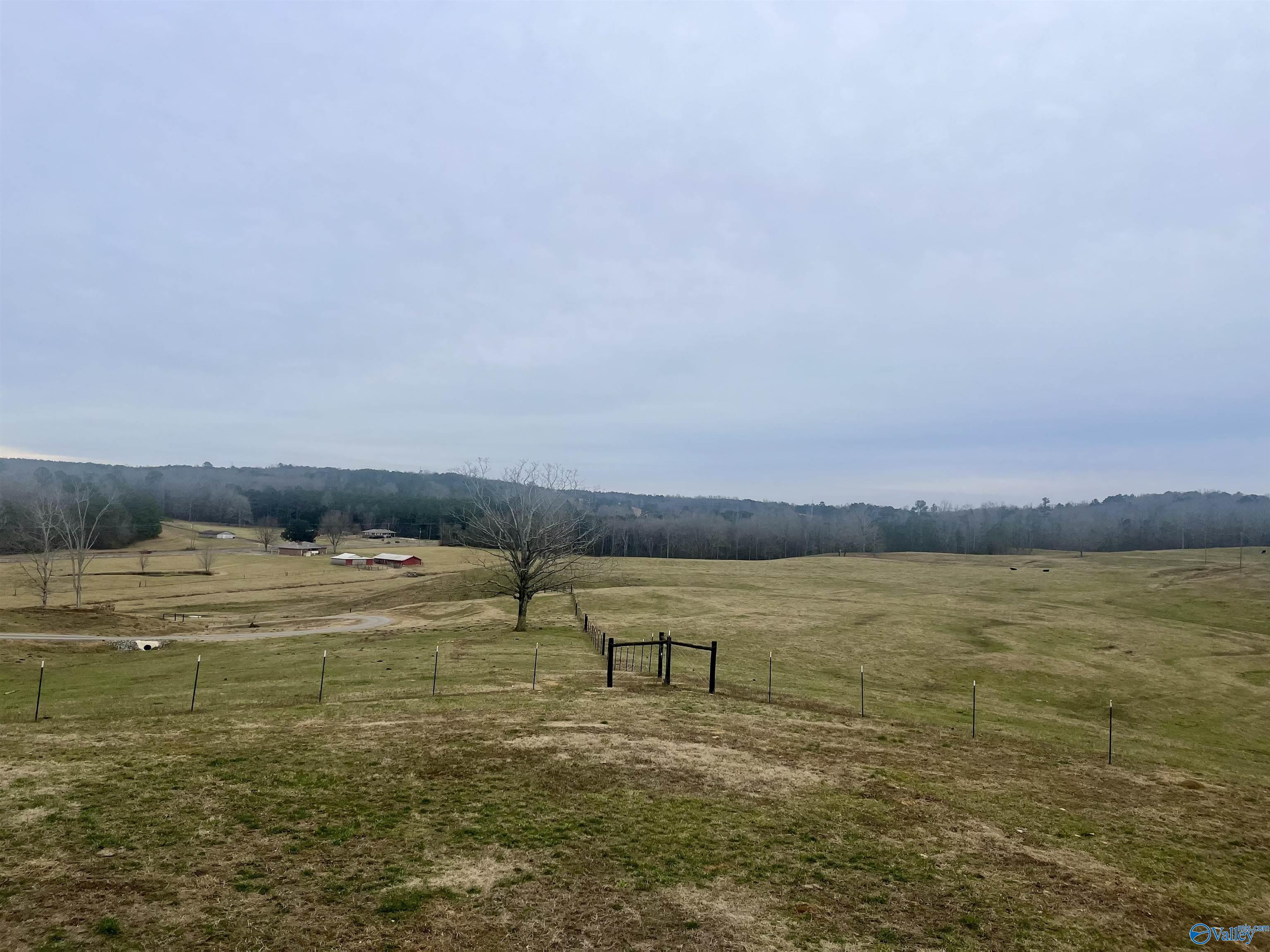 2465 Highway 179, Altoona, Alabama image 35