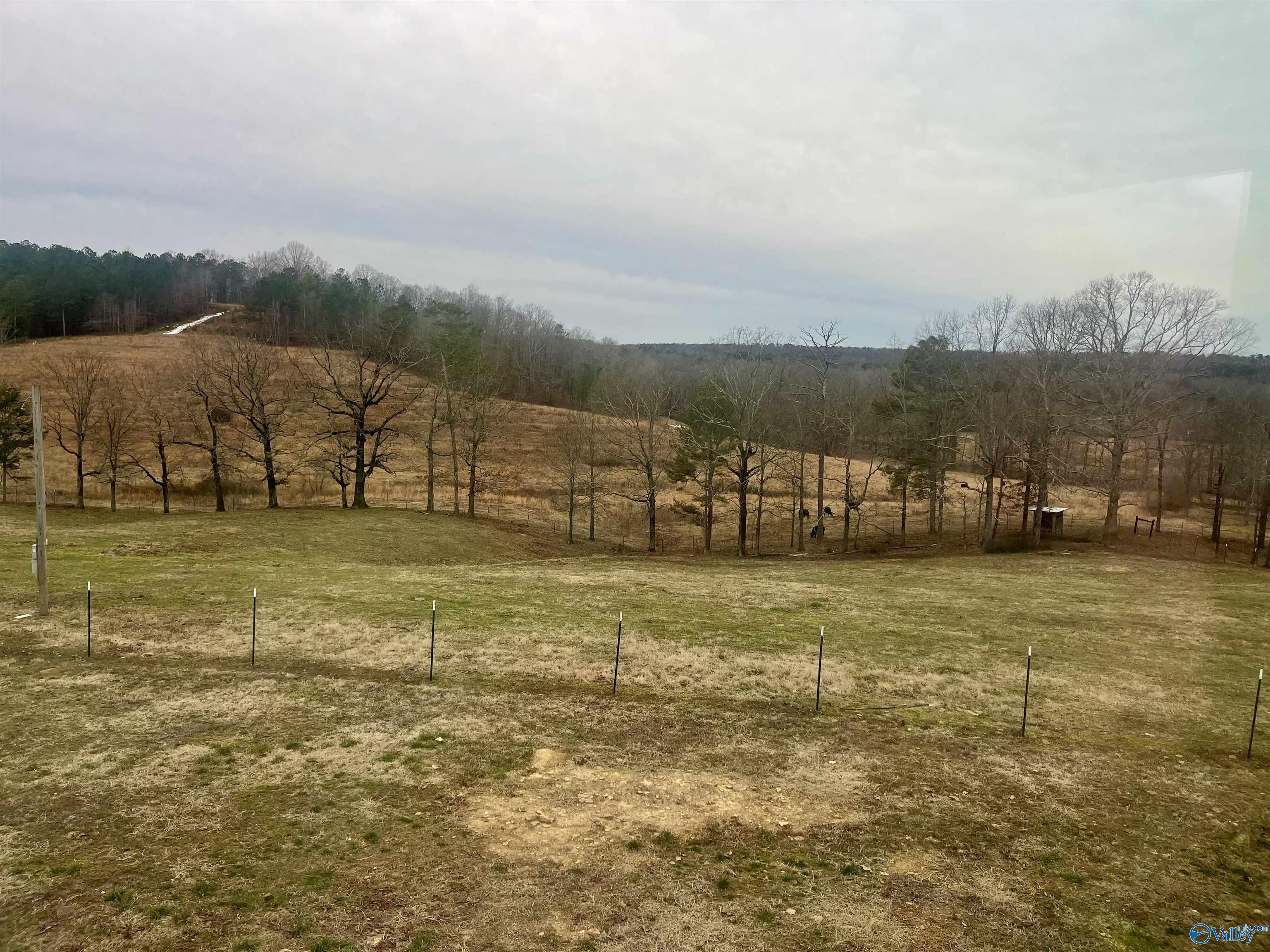 2465 Highway 179, Altoona, Alabama image 32