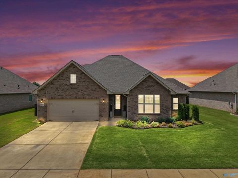 Homes For Sale - 169 Slade Thomas Drive<br/> Meridianville, AL 35759