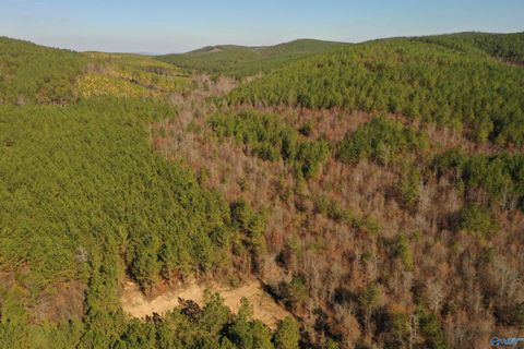 Vacant Land For Sale - 200 AC County Road 651<br/> Cherokee County, Piedmont, AL 36272