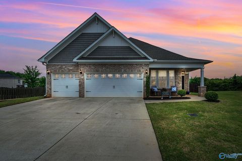 Homes For Sale - 216 Count Fleet Court<br/> Madison, AL 35756