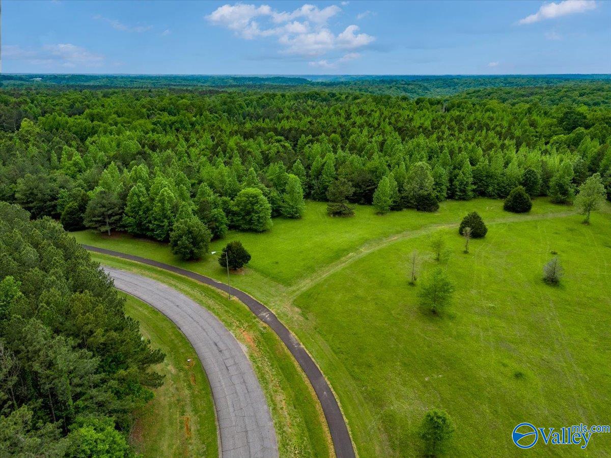 24431 Hickory Drive, Elkmont, Alabama image 9