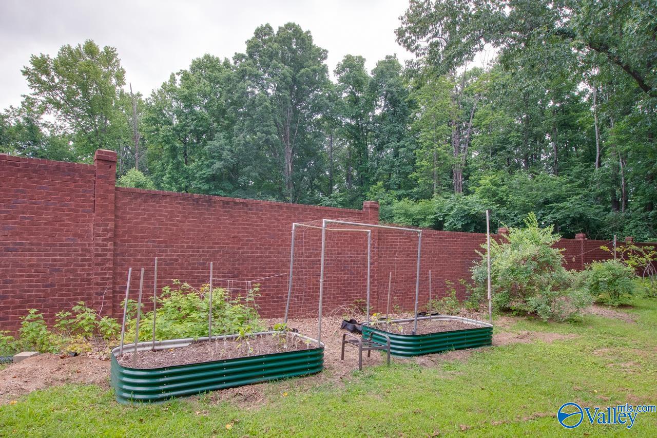 161 Nale Drive, Madison, Alabama image 46