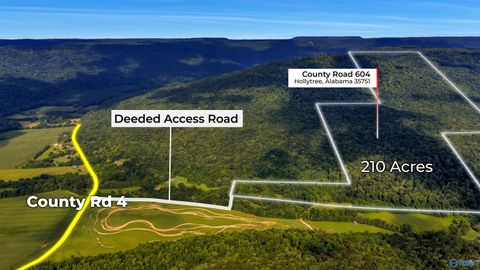 Vacant Land For Sale - 210 ACRES County Road 604<br/> Jackson County, Hollytree, AL 35751