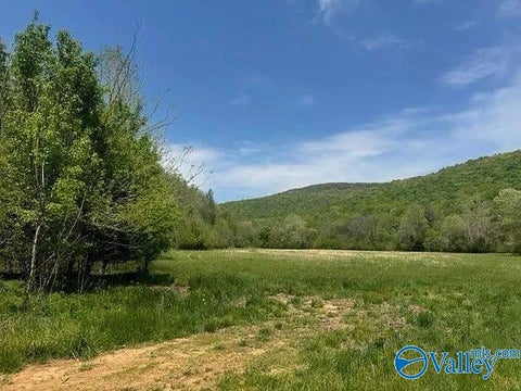 Vacant Land For Sale - 210 ACRES County Road 604<br/> Jackson County, Hollytree, AL 35751