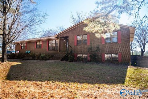 Homes For Sale - 379 County Road 246<br/> Geraldine, AL 35974