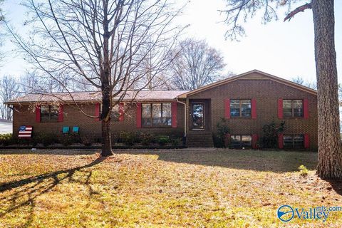 Homes For Sale - 379 County Road 246<br/> Geraldine, AL 35974