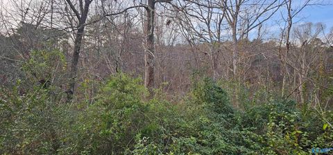 Homes For Sale - .37+/- LOT Park Road<br/> Fort Payne, AL 35967