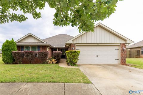 Photo of 308 Bull Shoals Drive SW, Madison, AL 35756 (MLS # 21916894)
