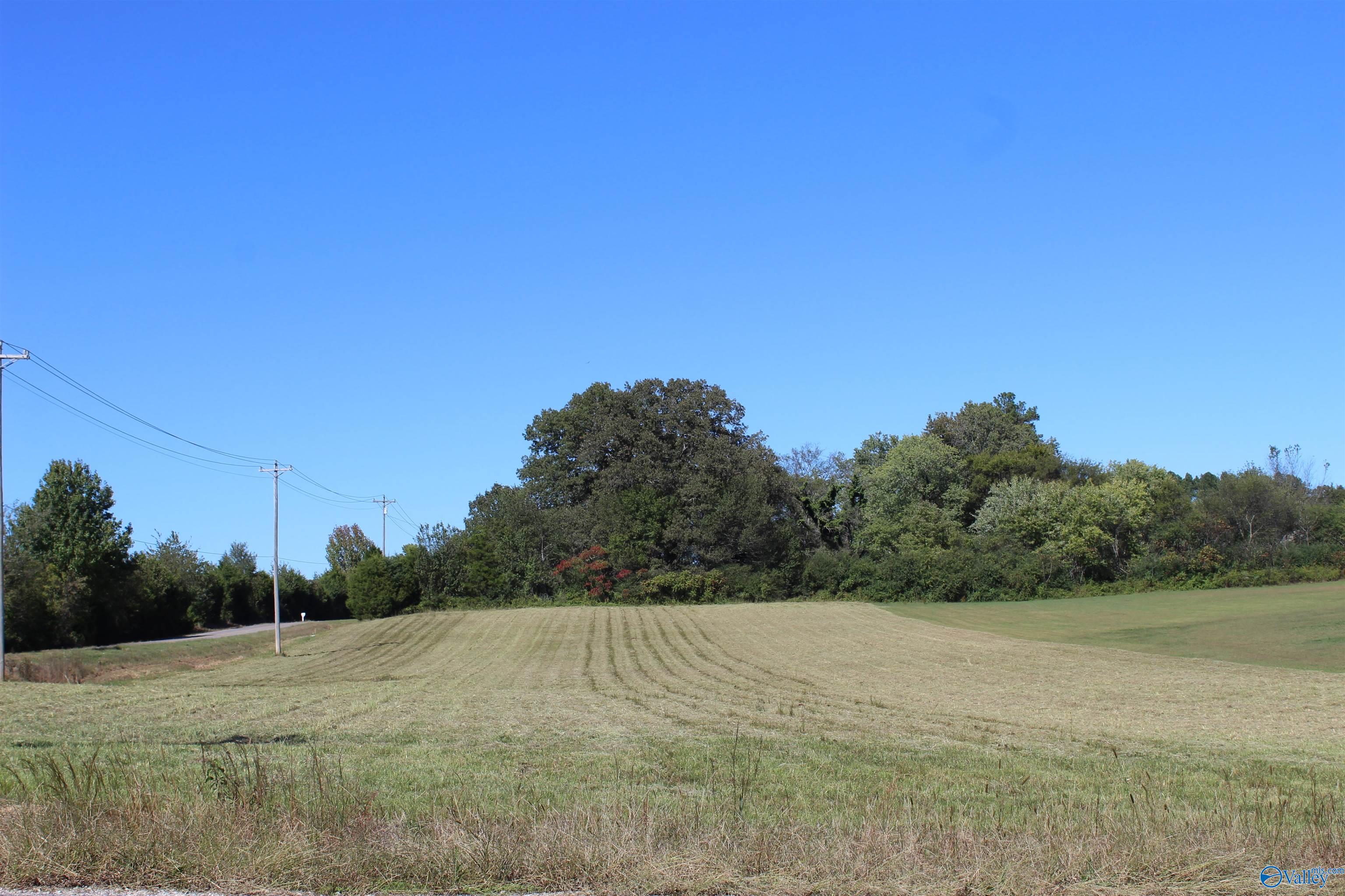 3.1 Acres Mooresville Road, Athens, Alabama image 2