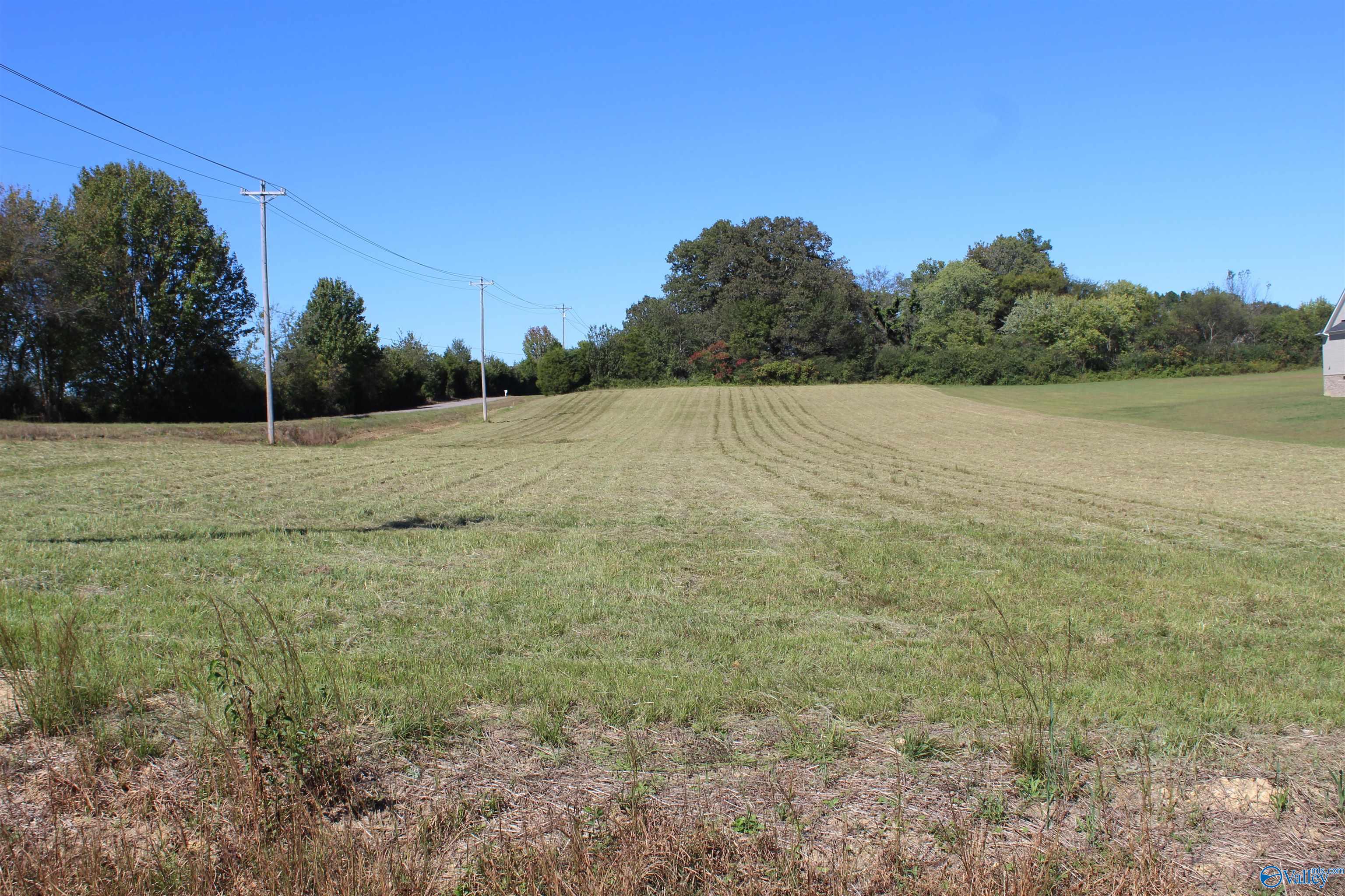 3.1 Acres Mooresville Road, Athens, Alabama image 3